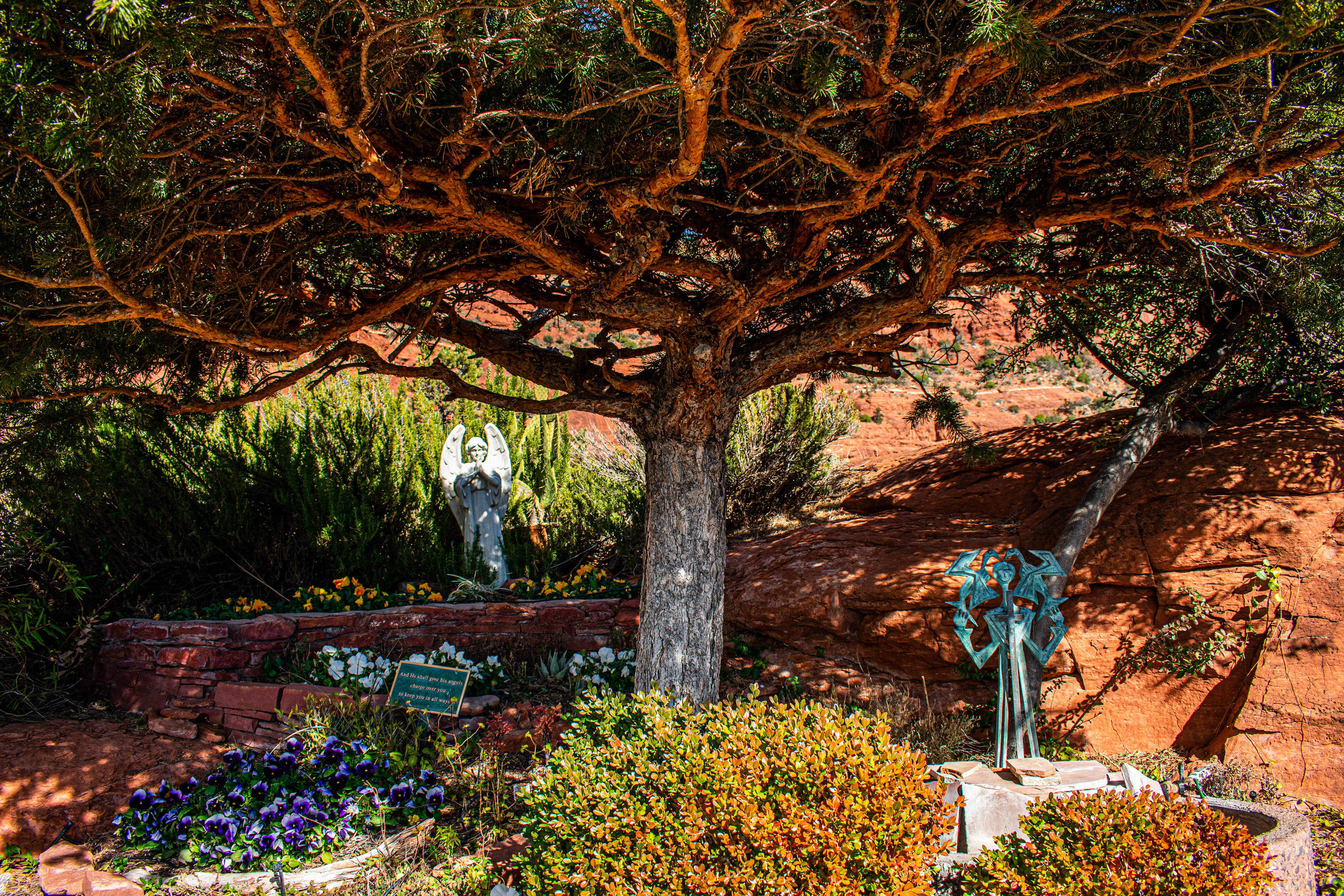 A Garden Under the Tree Shade