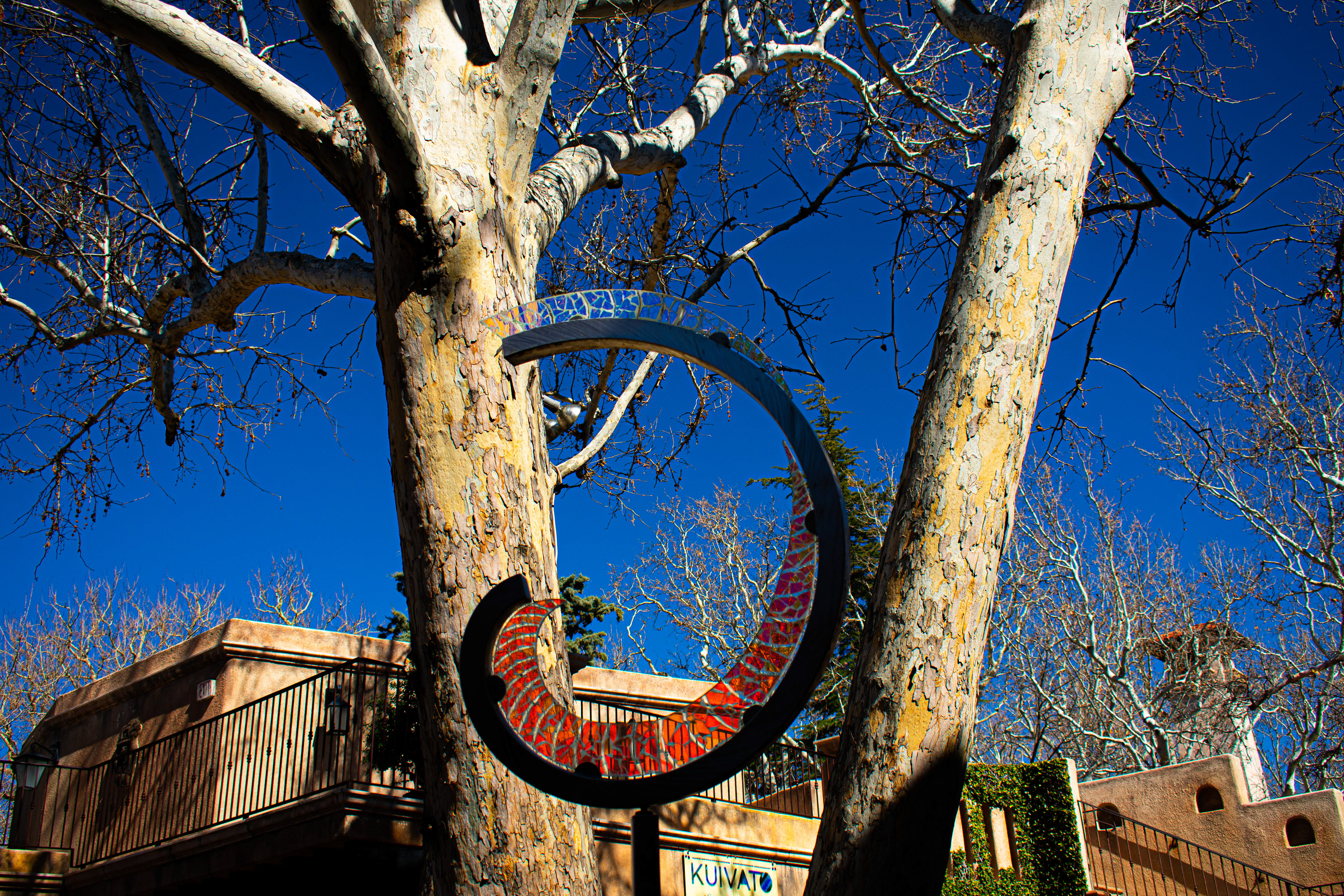 A Glass Statue Between Two Trees