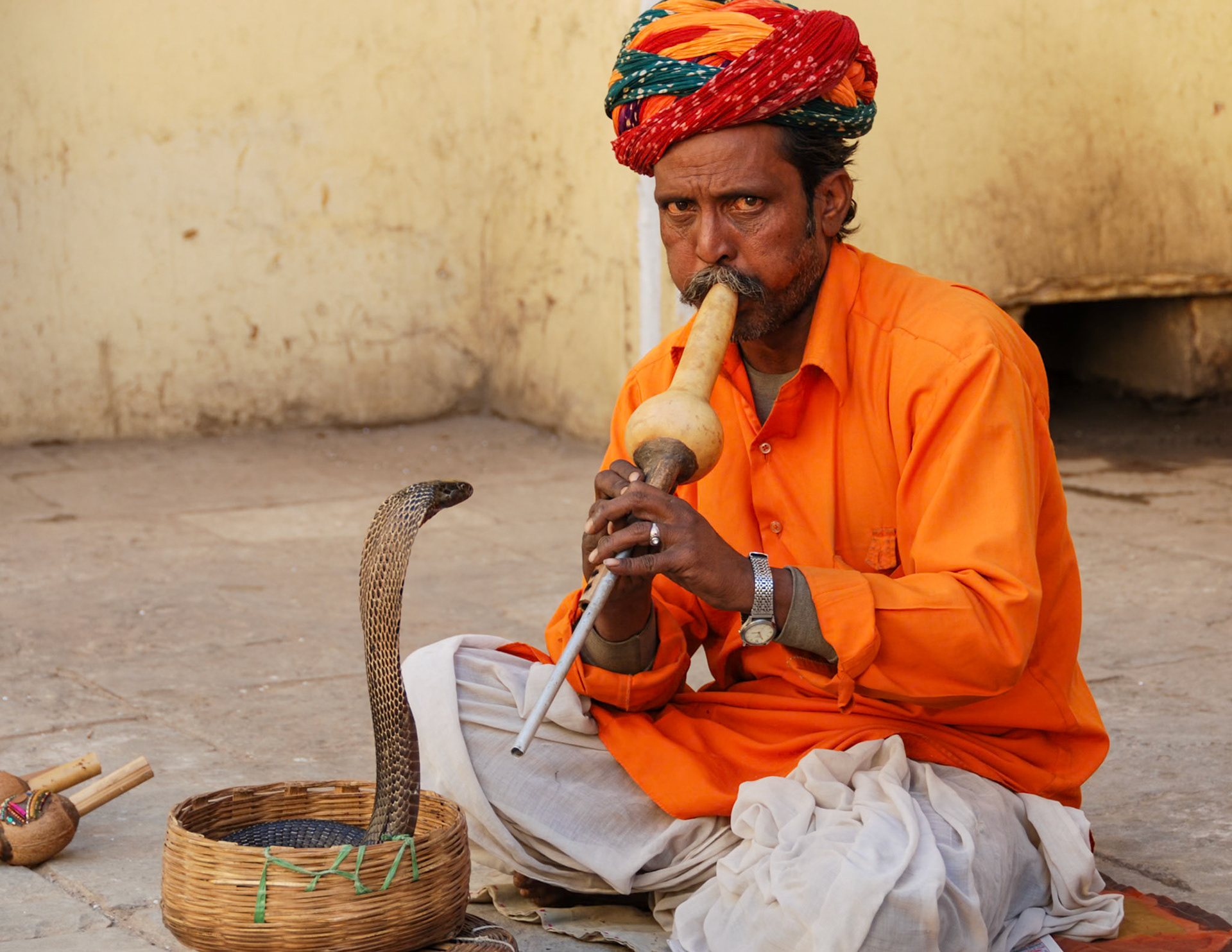 Snake Charmer