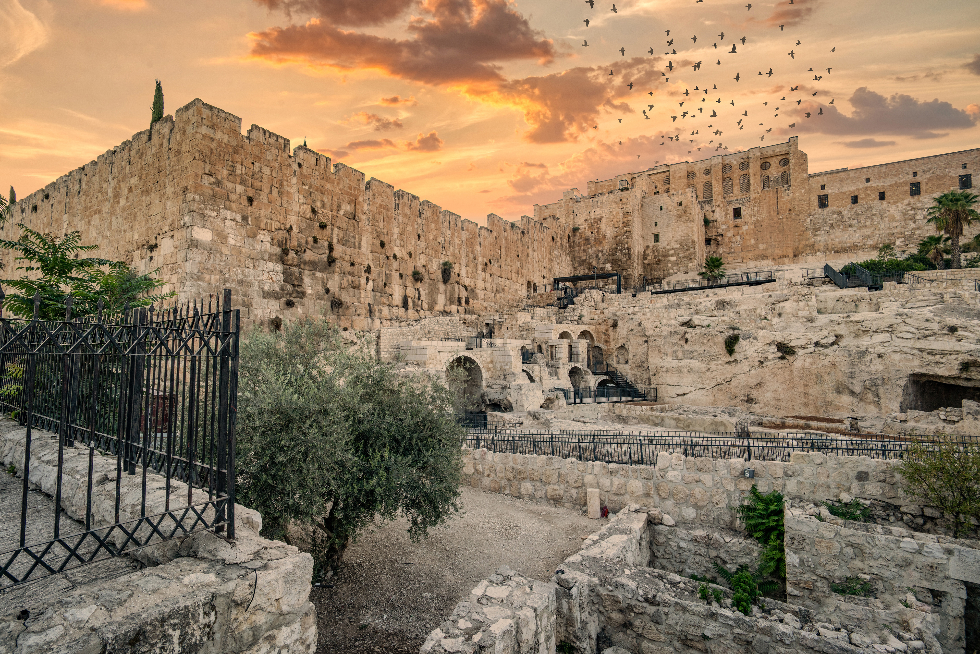 20 x 30" City of David Jerusalem