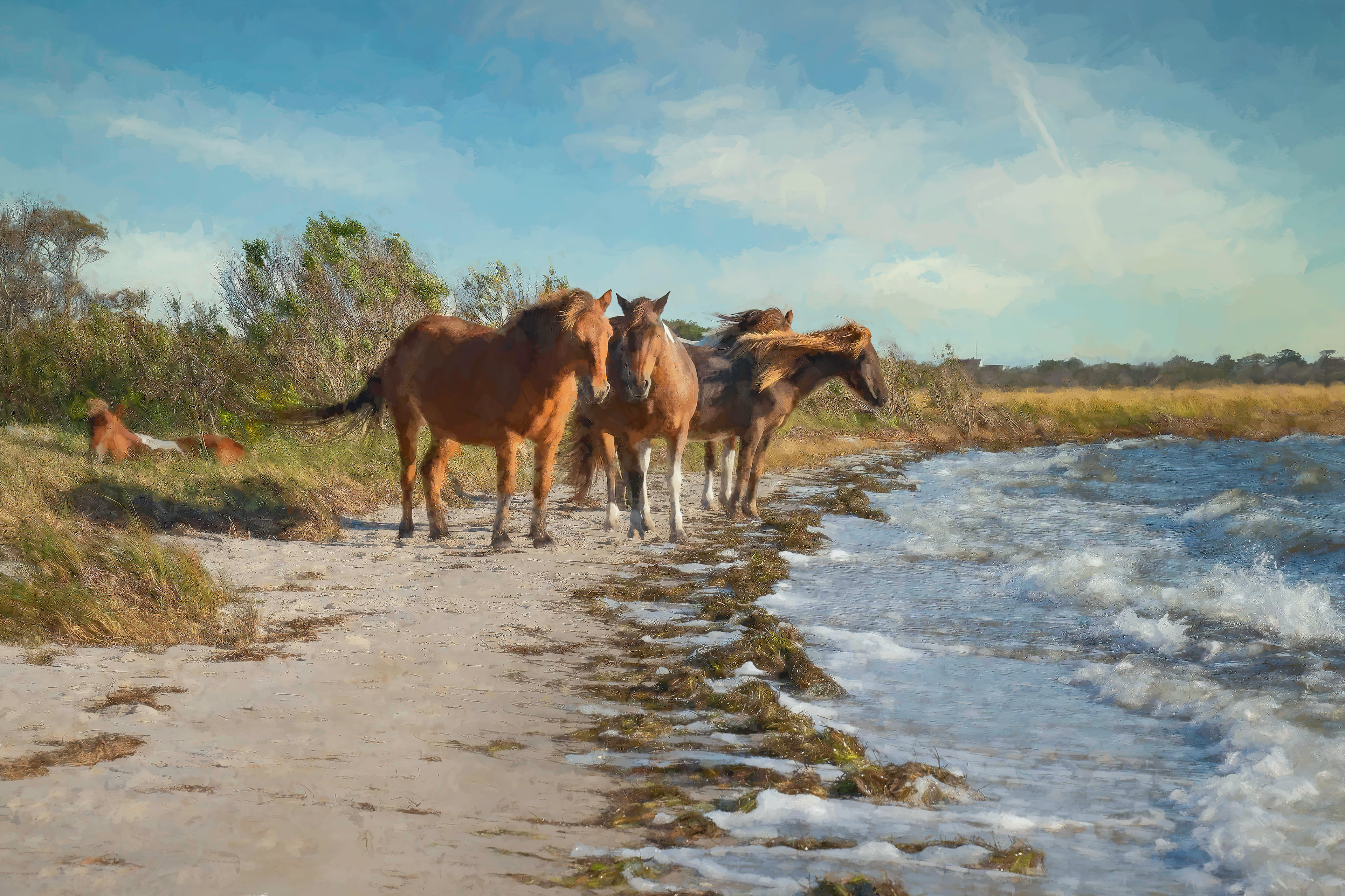 24 x 16" Wild Horses at National Seashore