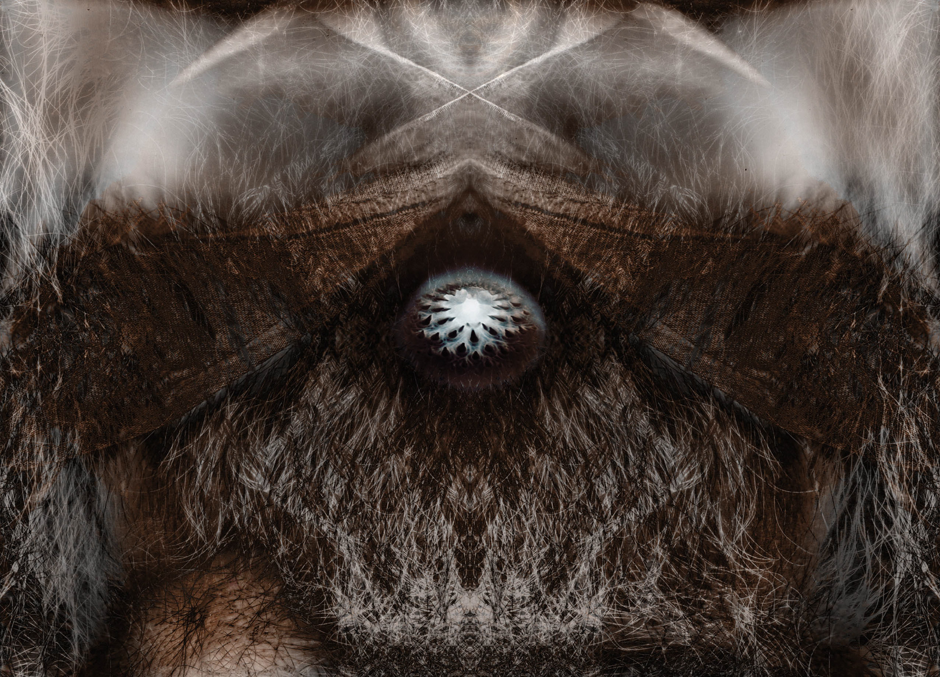 Experimental collage work - this was critiqued by artist Dave Mckean. He said: "Martin Lye – A fascinating digital composite. Symmetry always creates compelling patterns, and we look for structure and meaning in the same way we look for recognition in the features of a face. Love the strange plant-like element in the centre." Hooray!!!