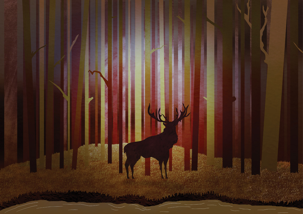 Illustration work