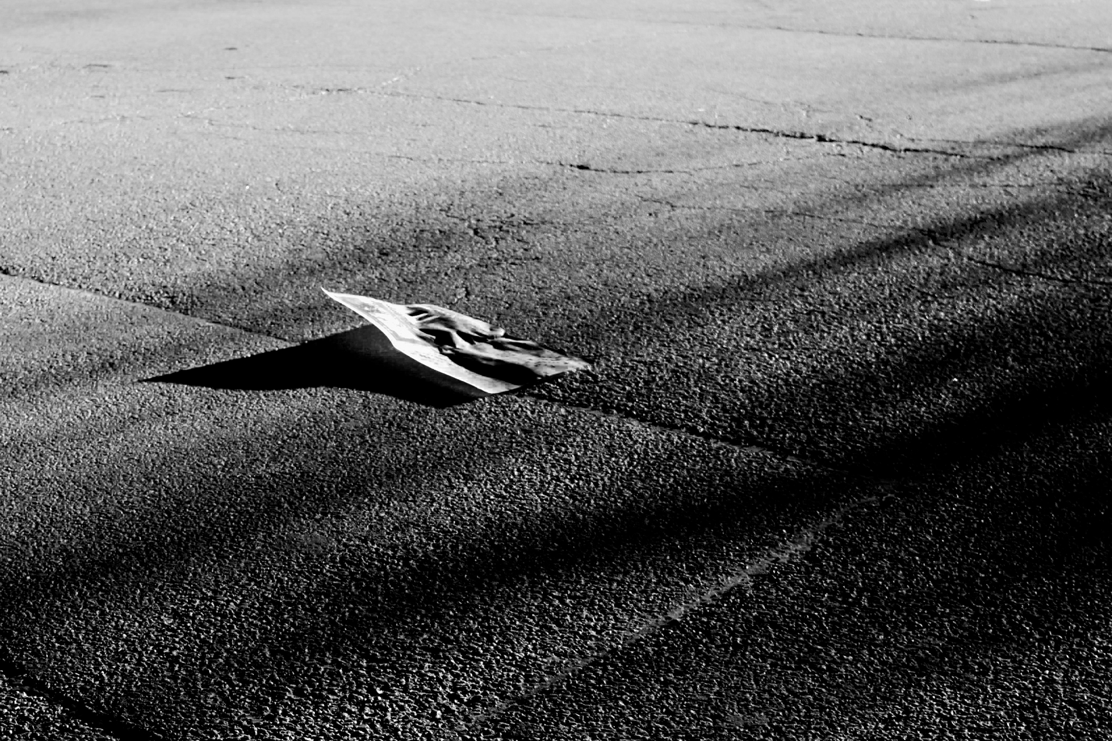 Recycled Newspaper, 2019