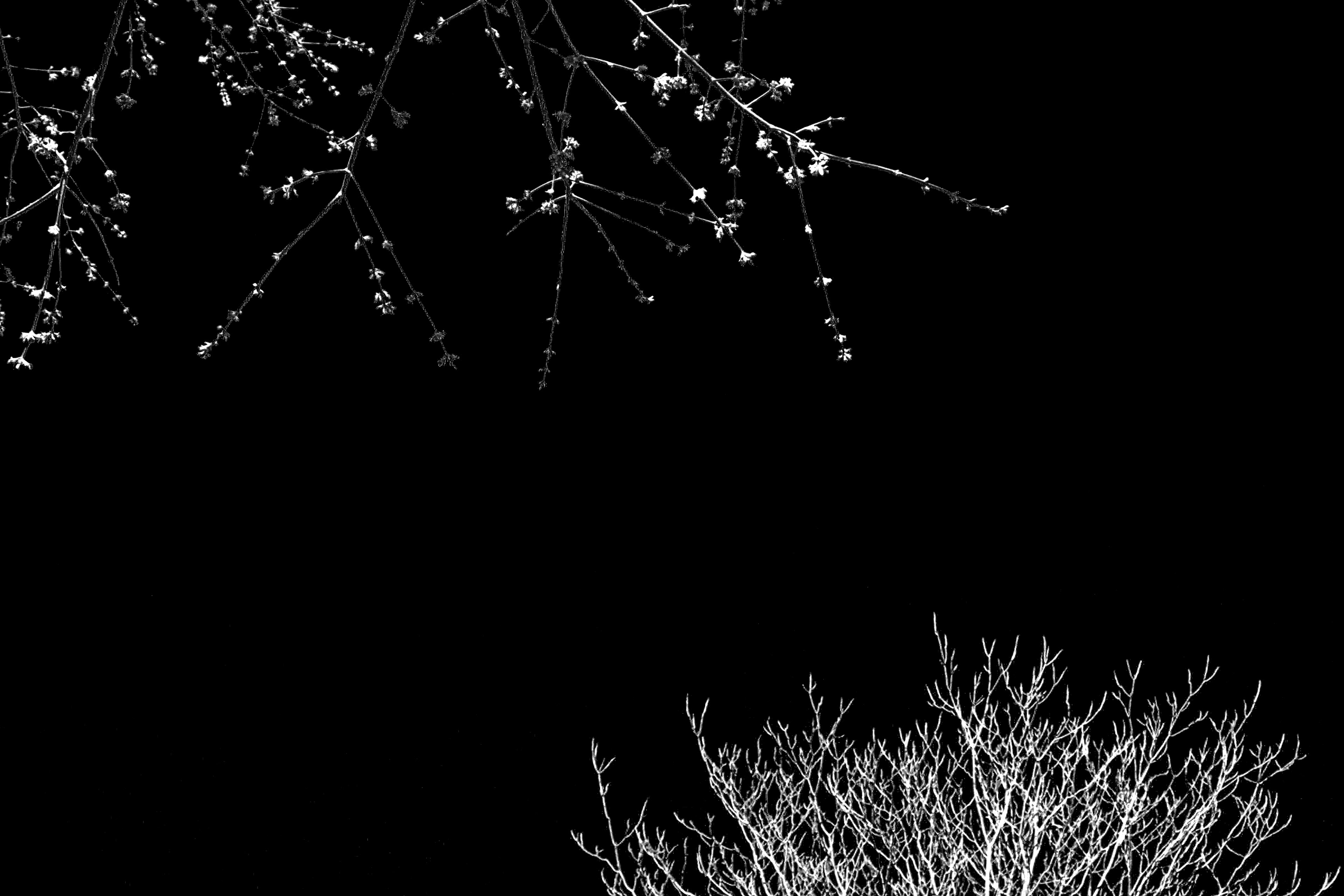 Winter Vs. Spring, 2019