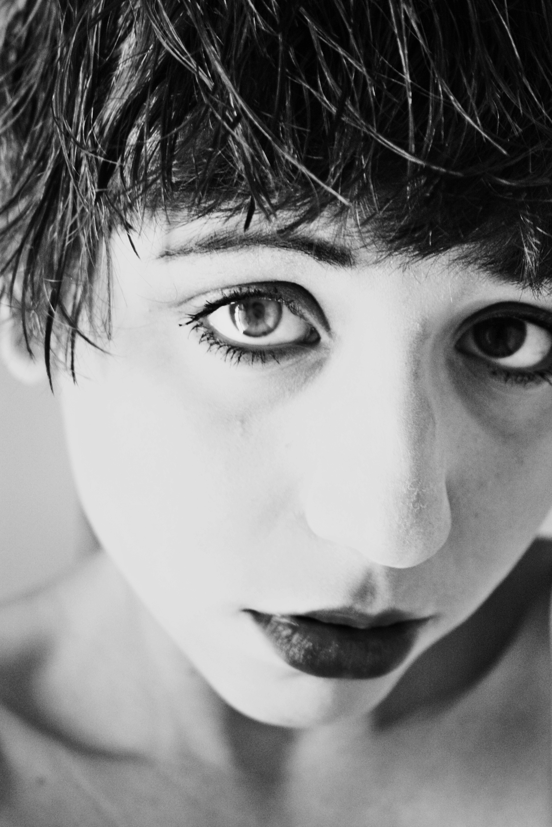 The lamb - 2011