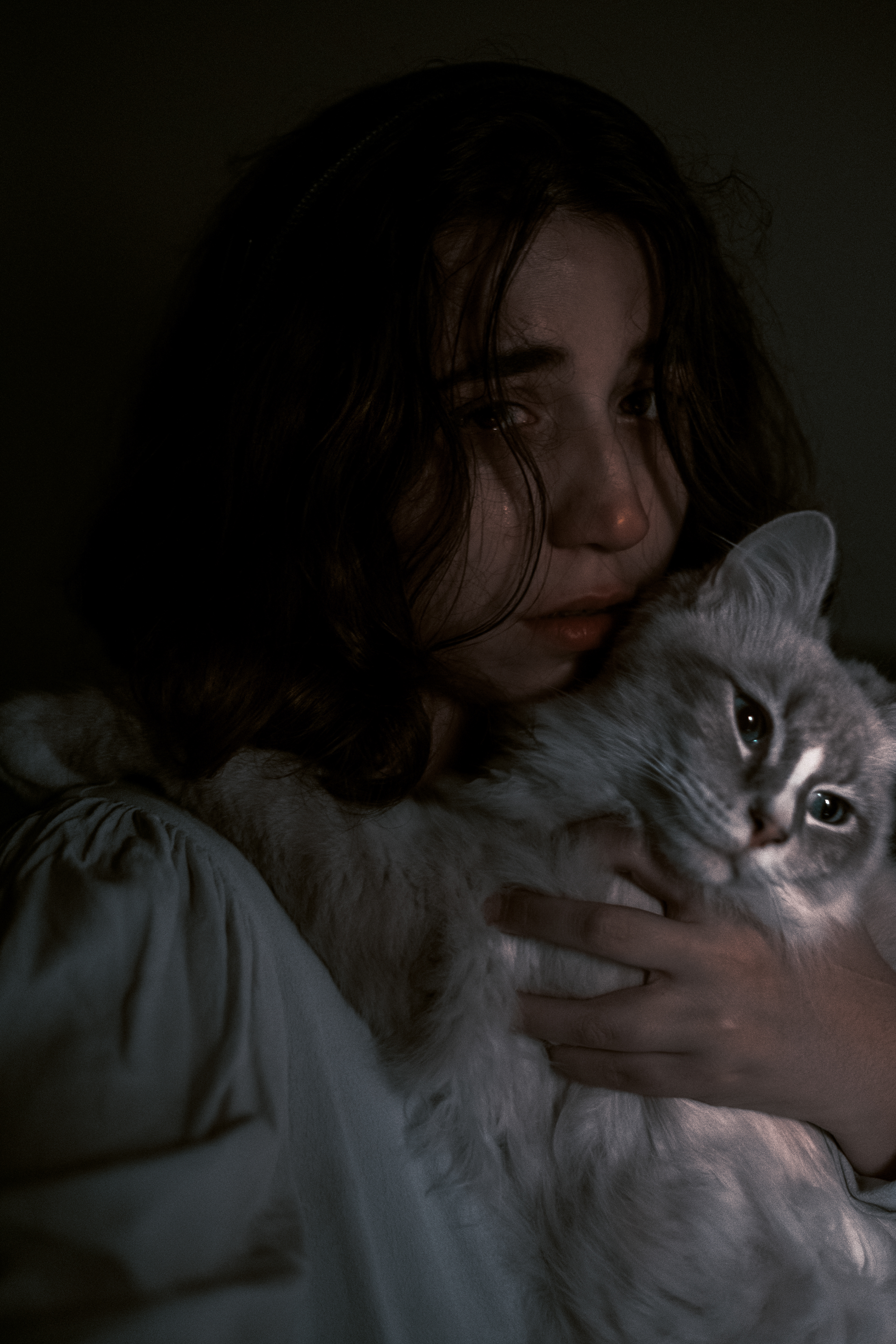 Emotional support - 2019