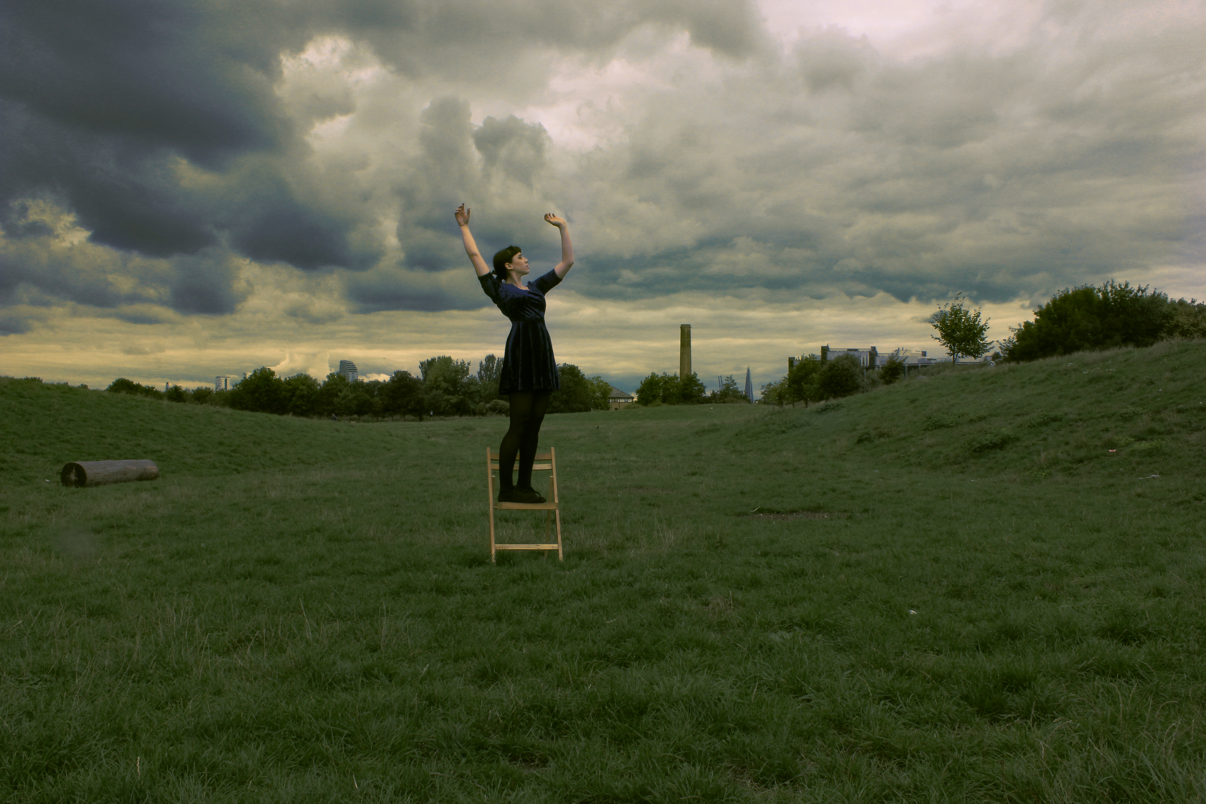 The director - 2013