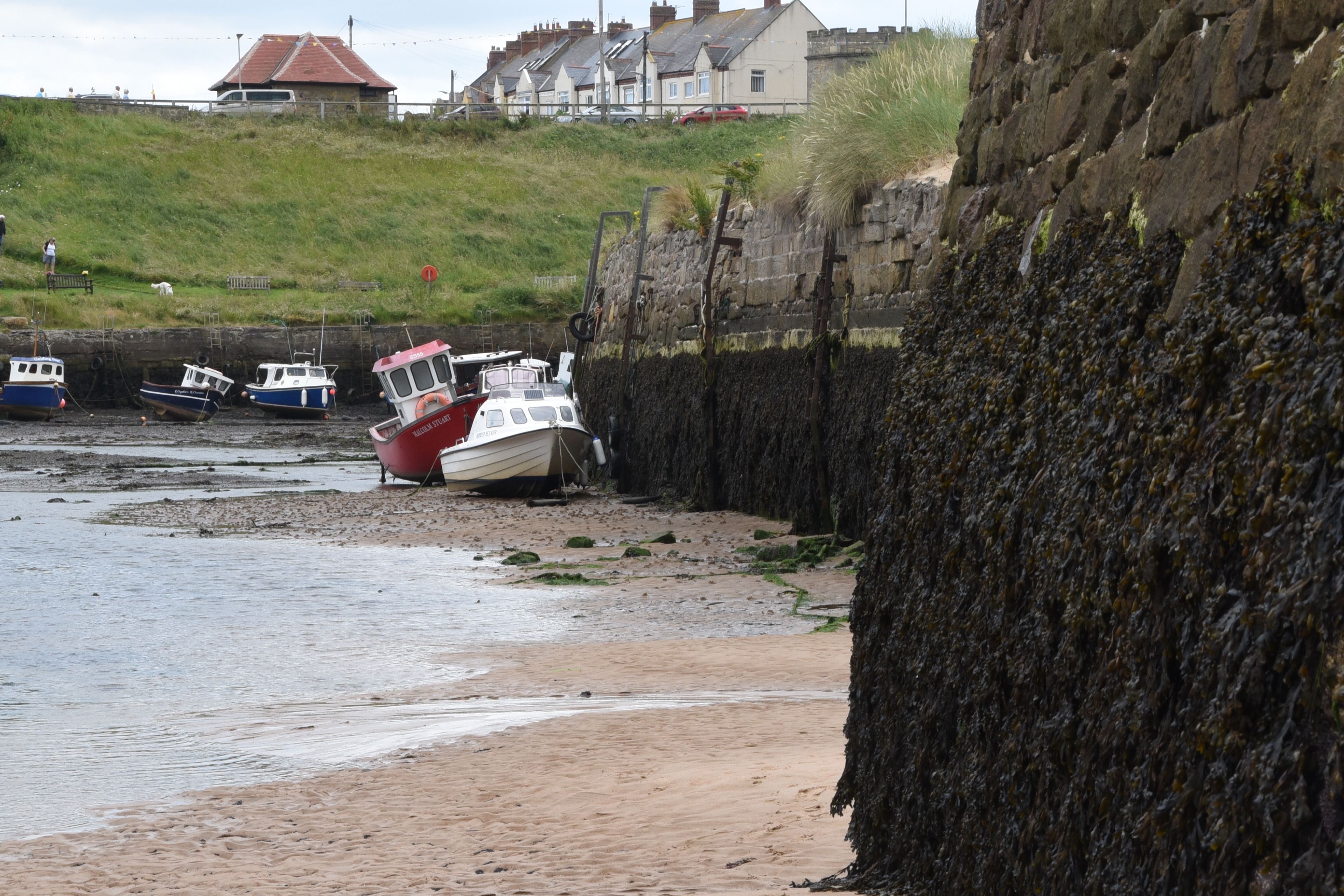 Seaton Sluice