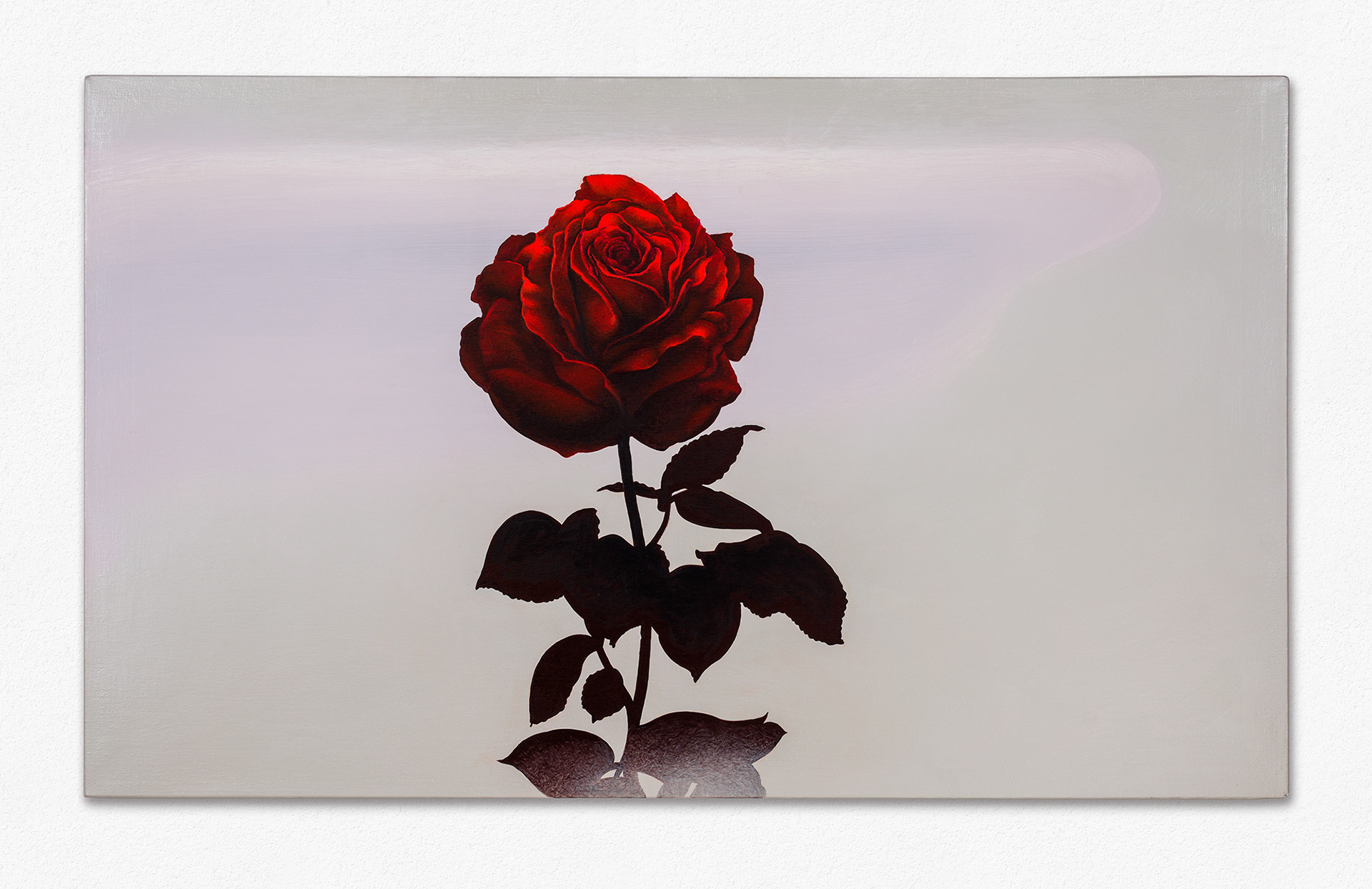 Vivi's Rose. A red rose against a pale grey sky.