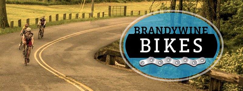 John Breakey identity making process: Brandywine Bike logo as atransparent PNG file over a photograph.