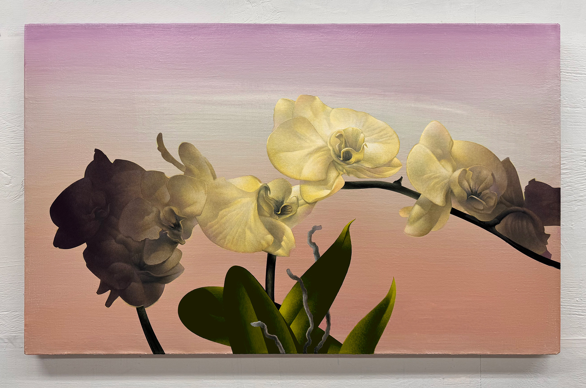 6 PM Yellow Orchid, painted acrylic on stretched linen support of yellow orchis at sunset. Completed December 2024