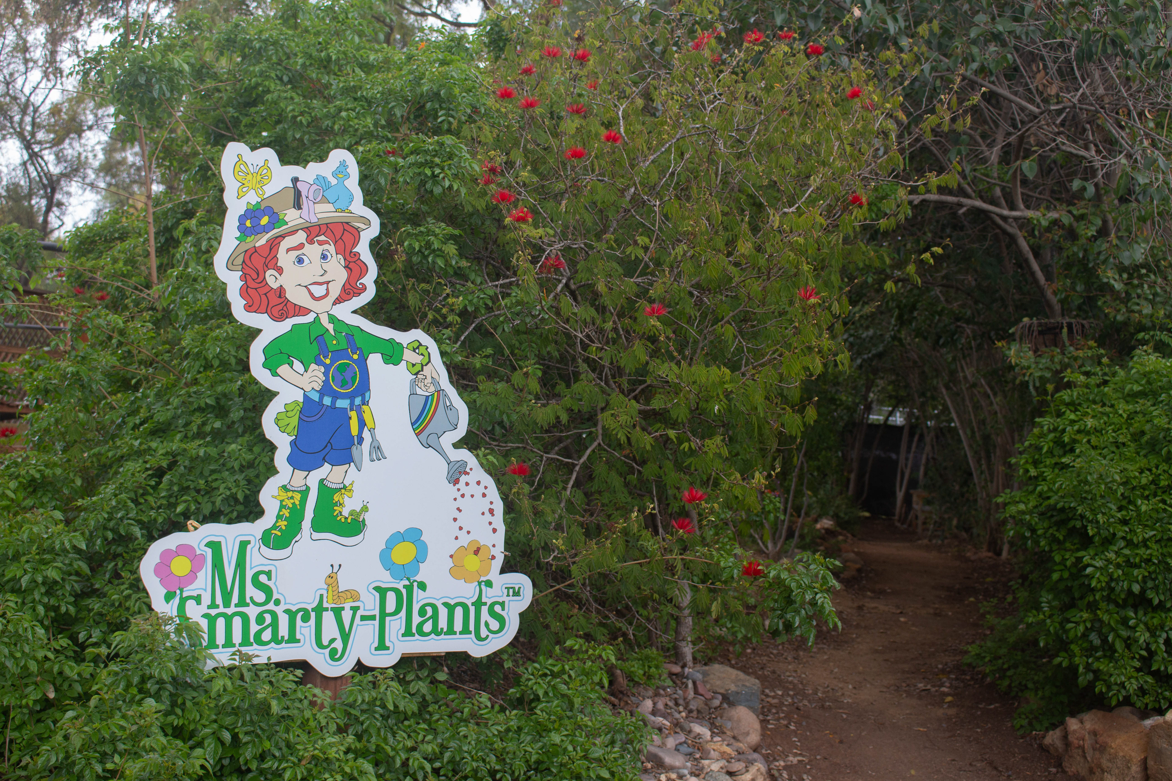 Photos of the Water Conservation Garden in Rancho San Diego (by Alexa Oslowski)