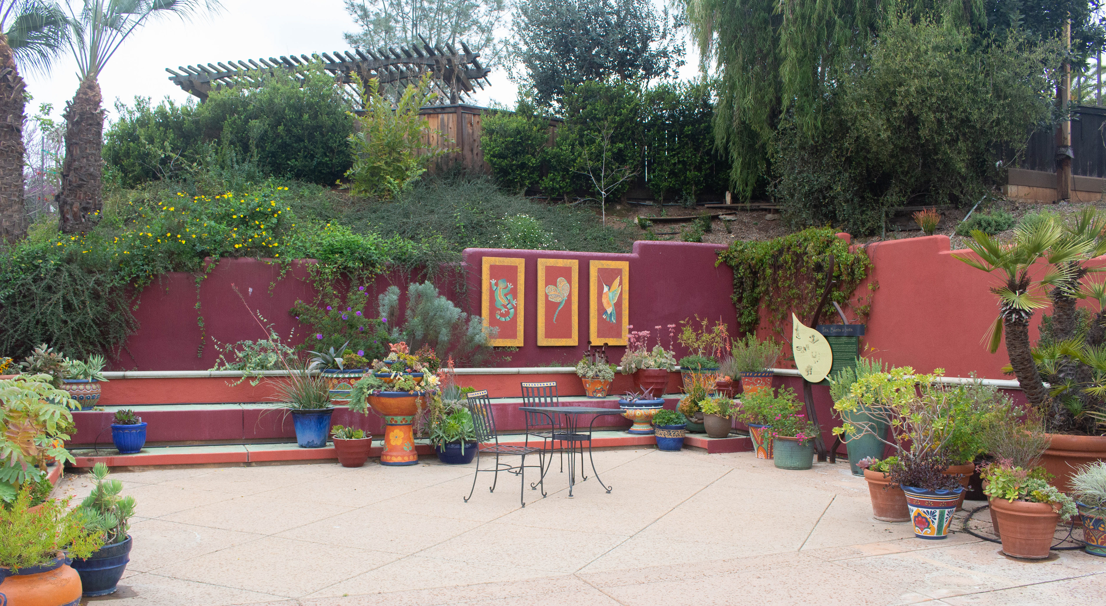 Photos of the Water Conservation Garden in Rancho San Diego (by Alexa Oslowski)