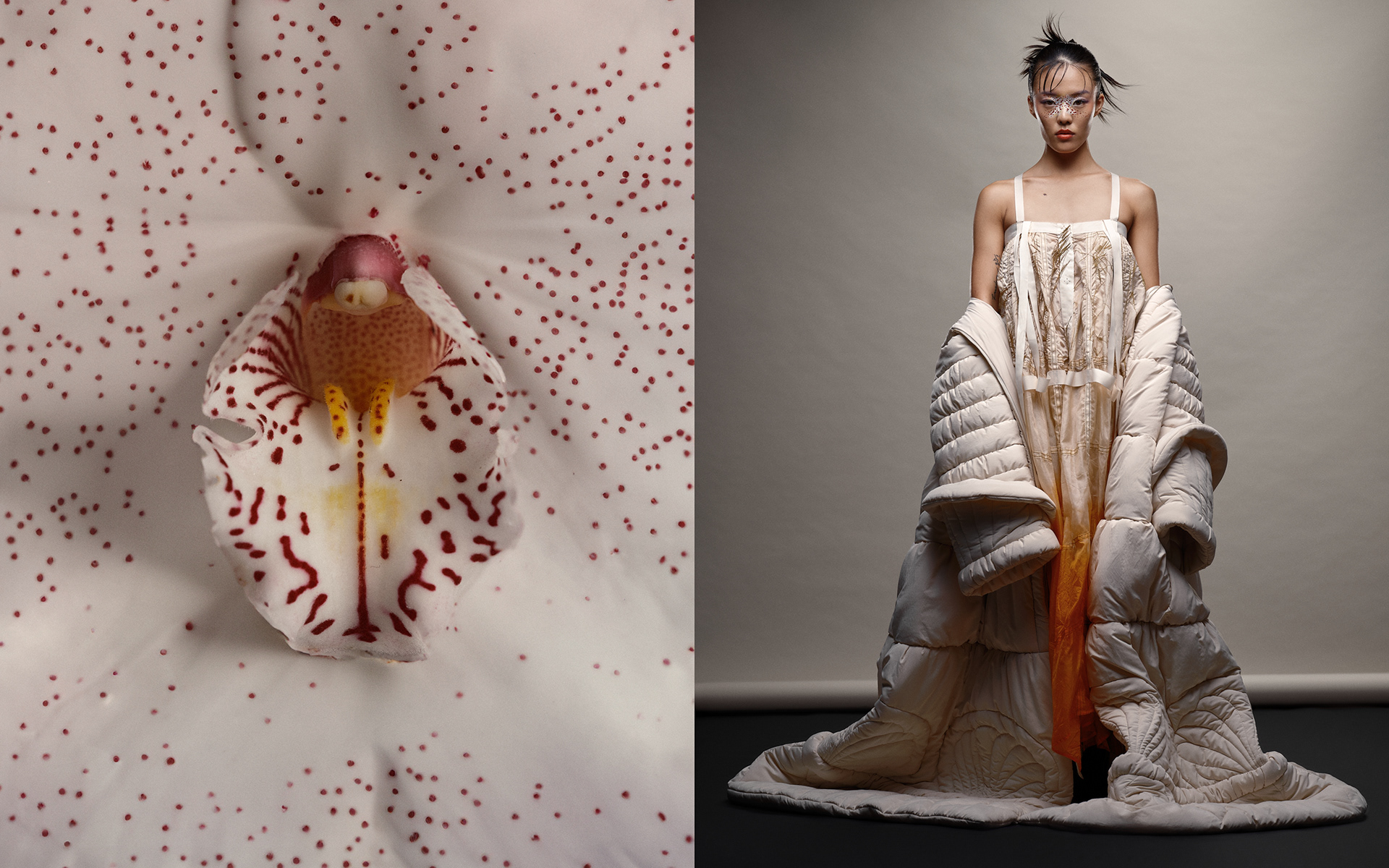 Photographer Zach Arquilevich