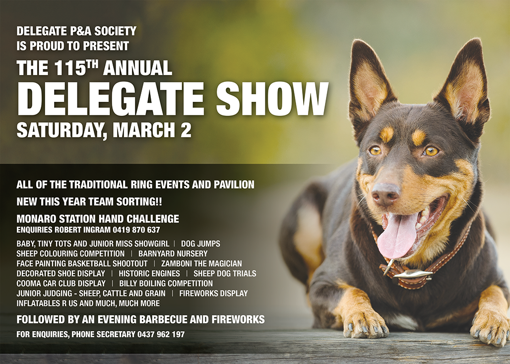 Delegate Show Newspaper Advert