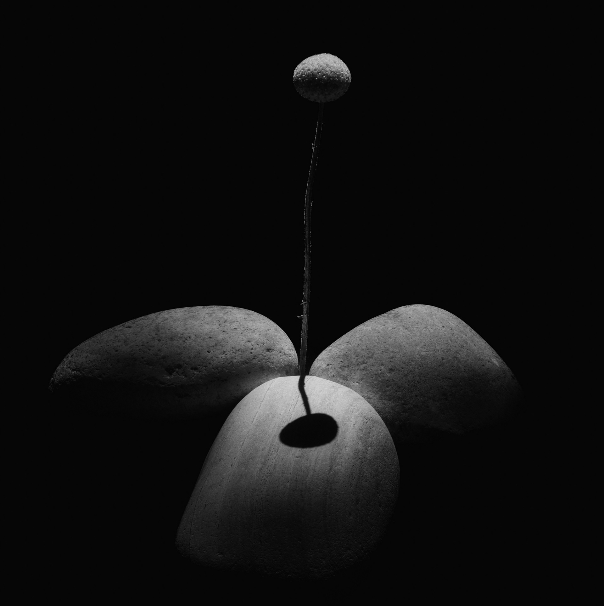 Encountering the Shadow