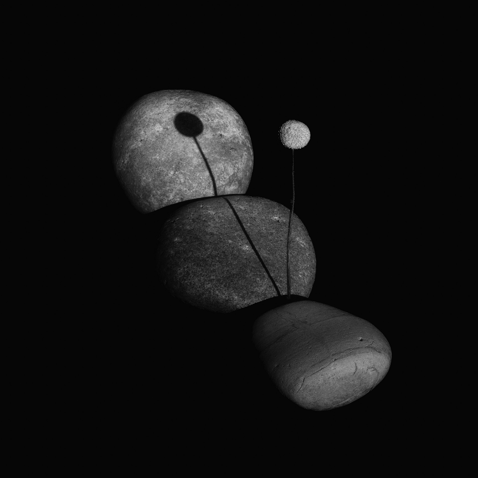 The Long Reach of the Shadow