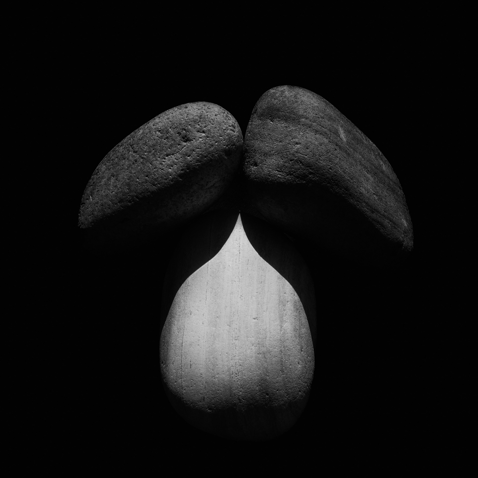 The Totality of the Self