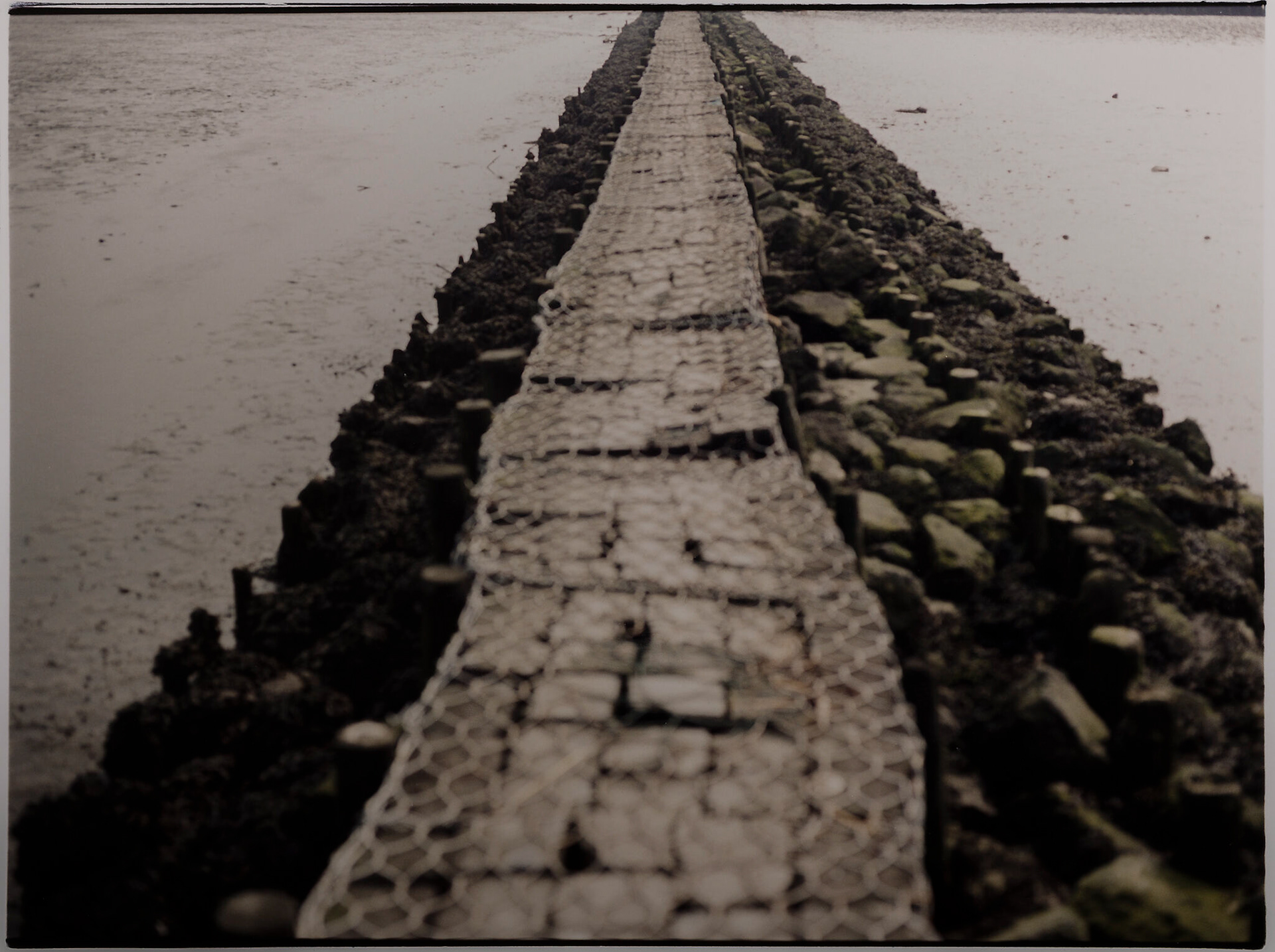 Fotografo artista. Progetto Nordsee