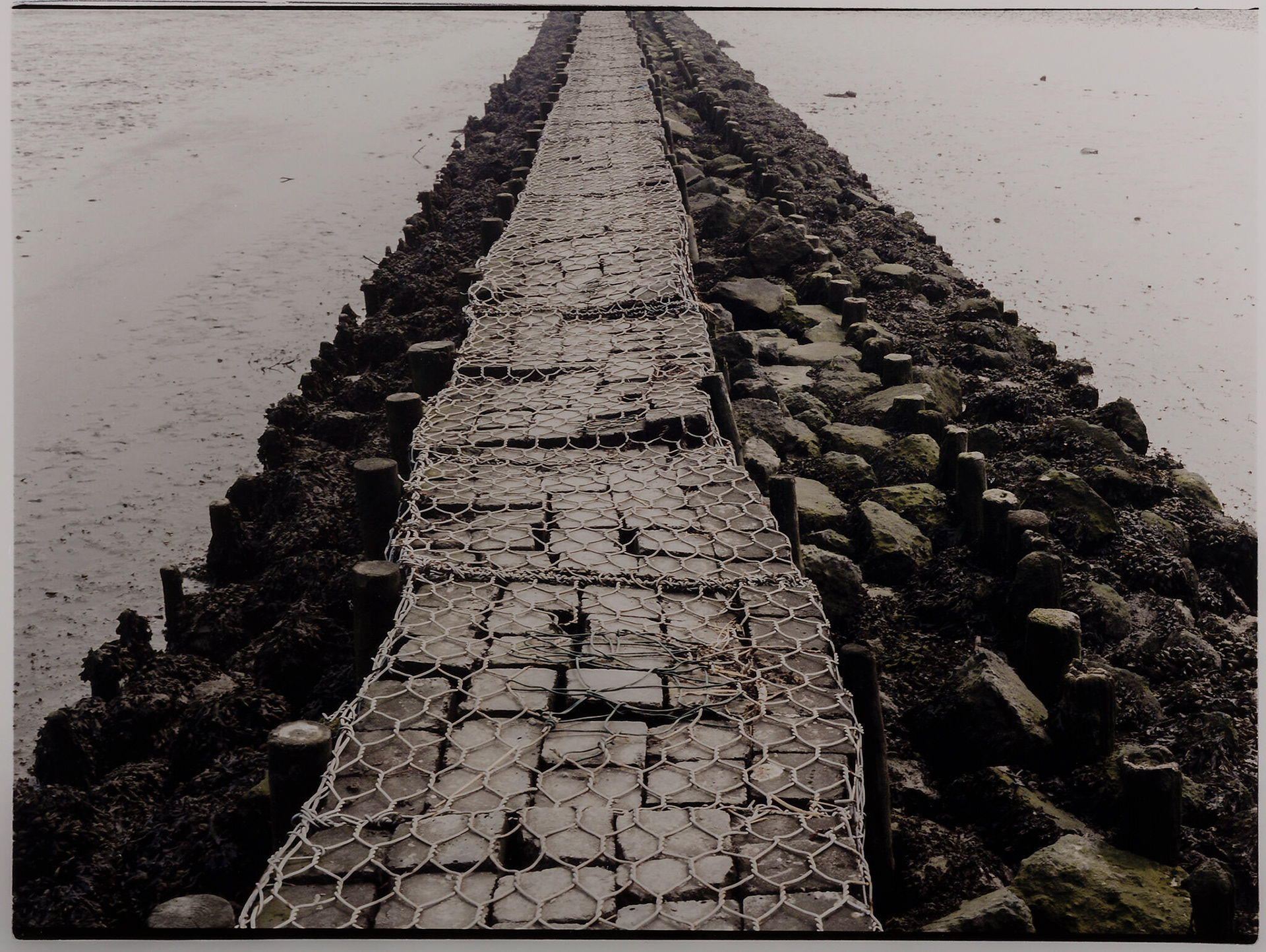 Fotografo artista. Progetto Nordsee