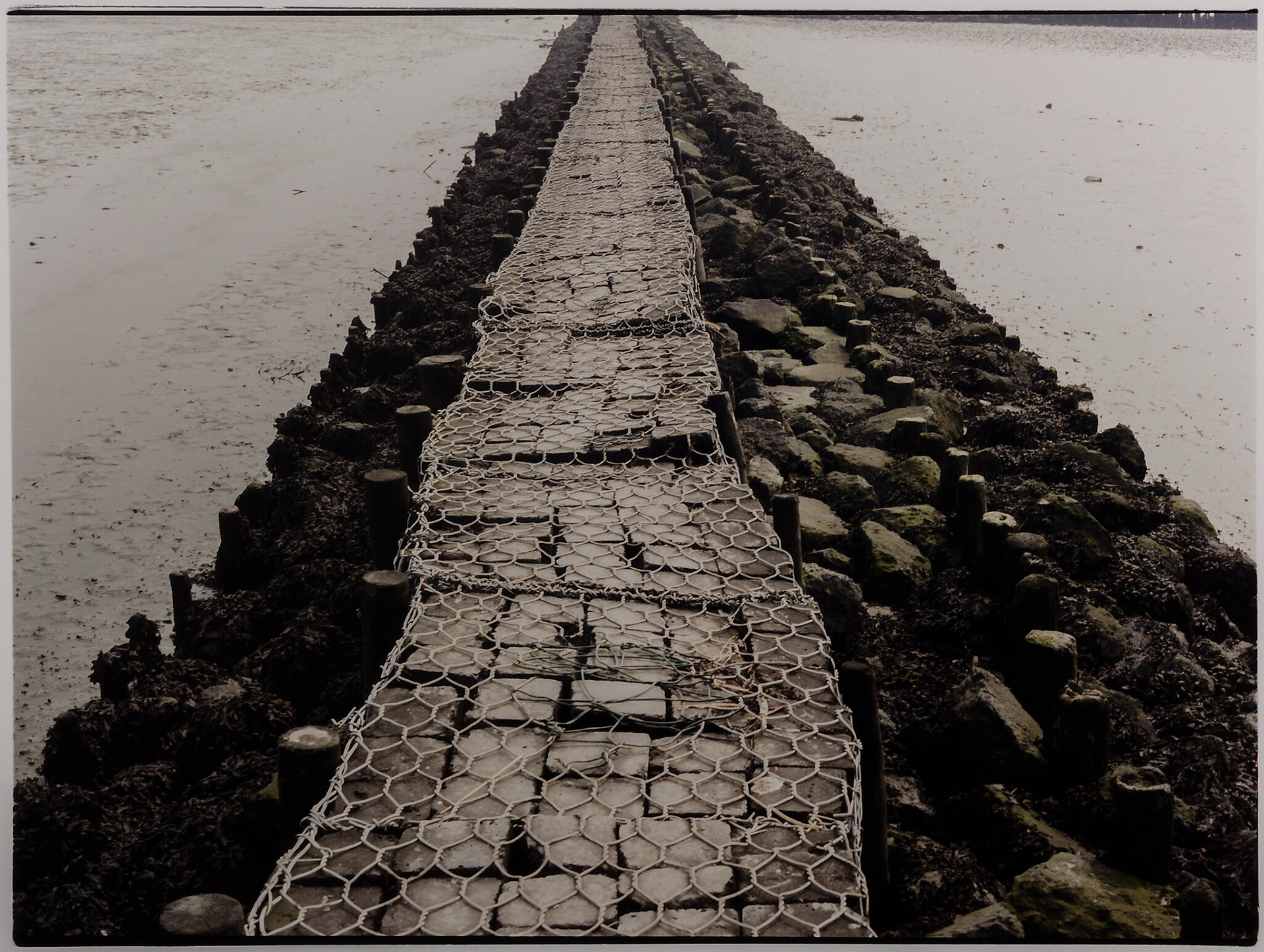 Fotografo artista. Progetto Nordsee