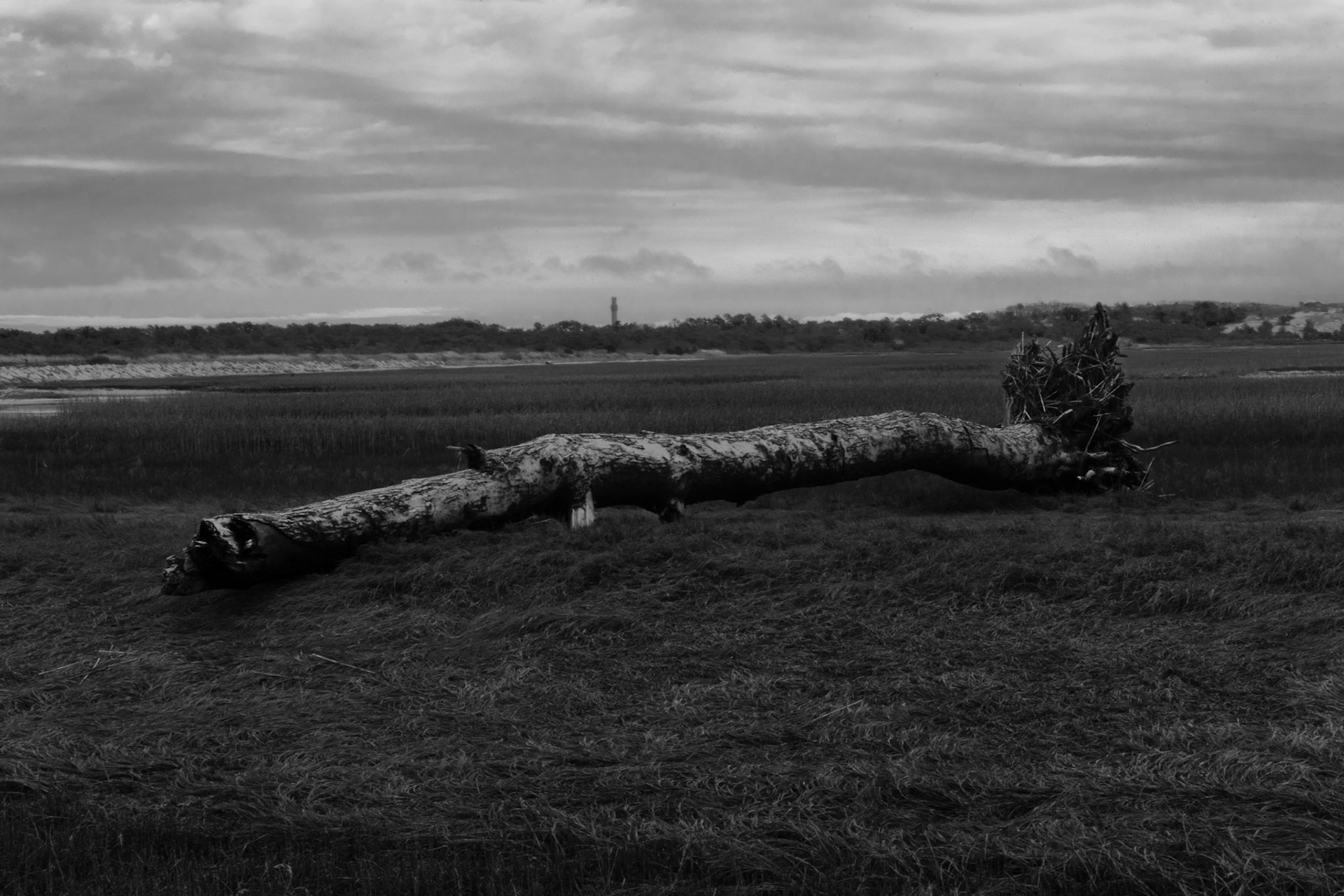 Hatches Harbor Trail