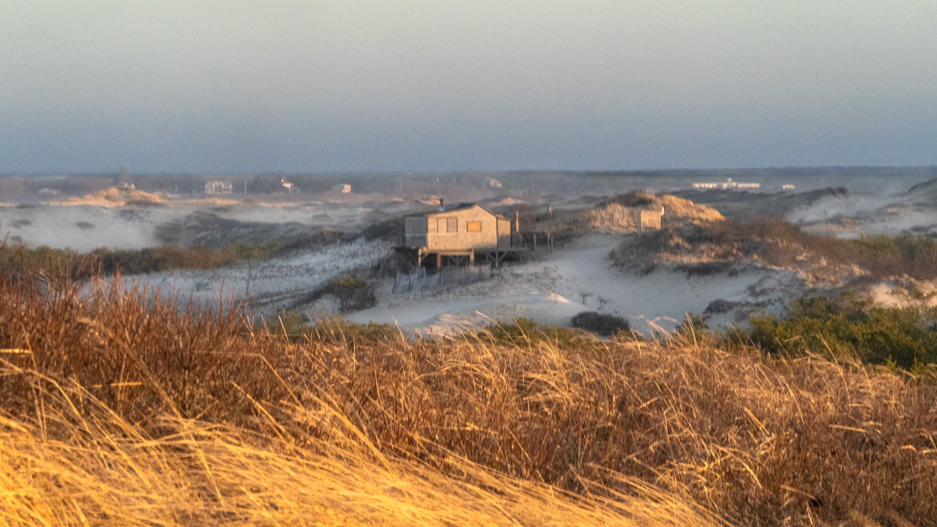 Dune Shack