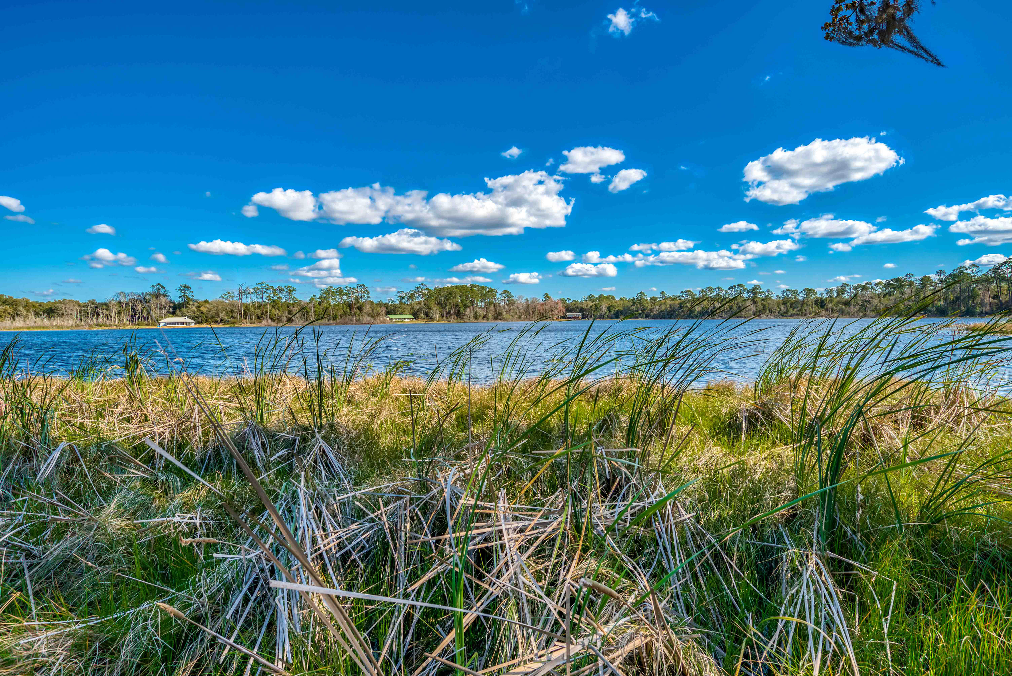 River 31
