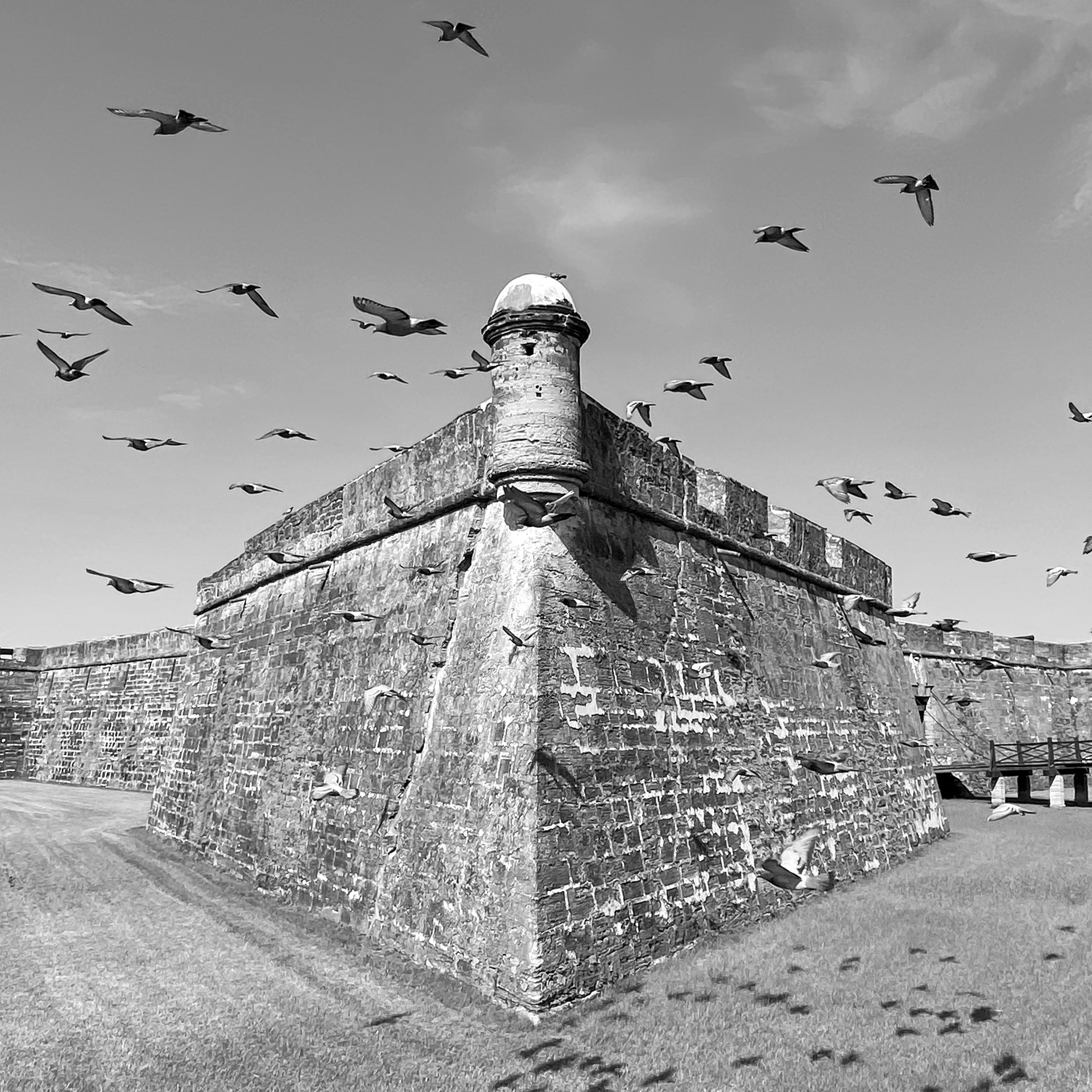 Castillo Birds 15" X 15"