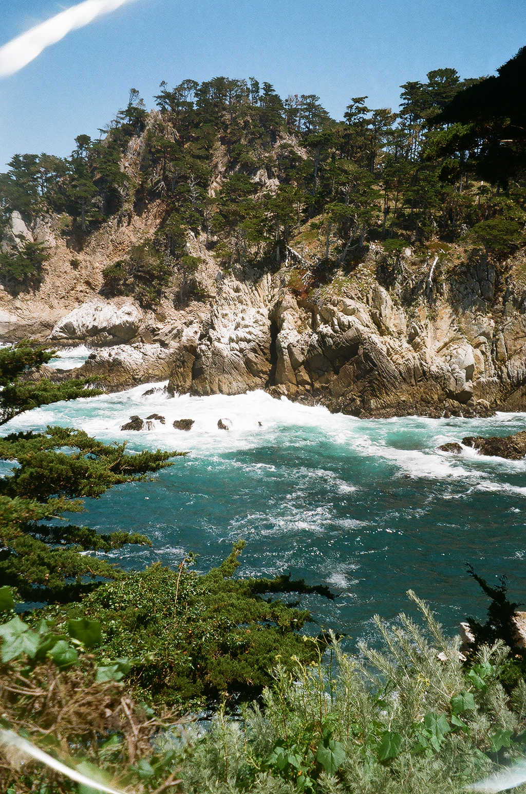 Big Sur, 35mm film, 2024