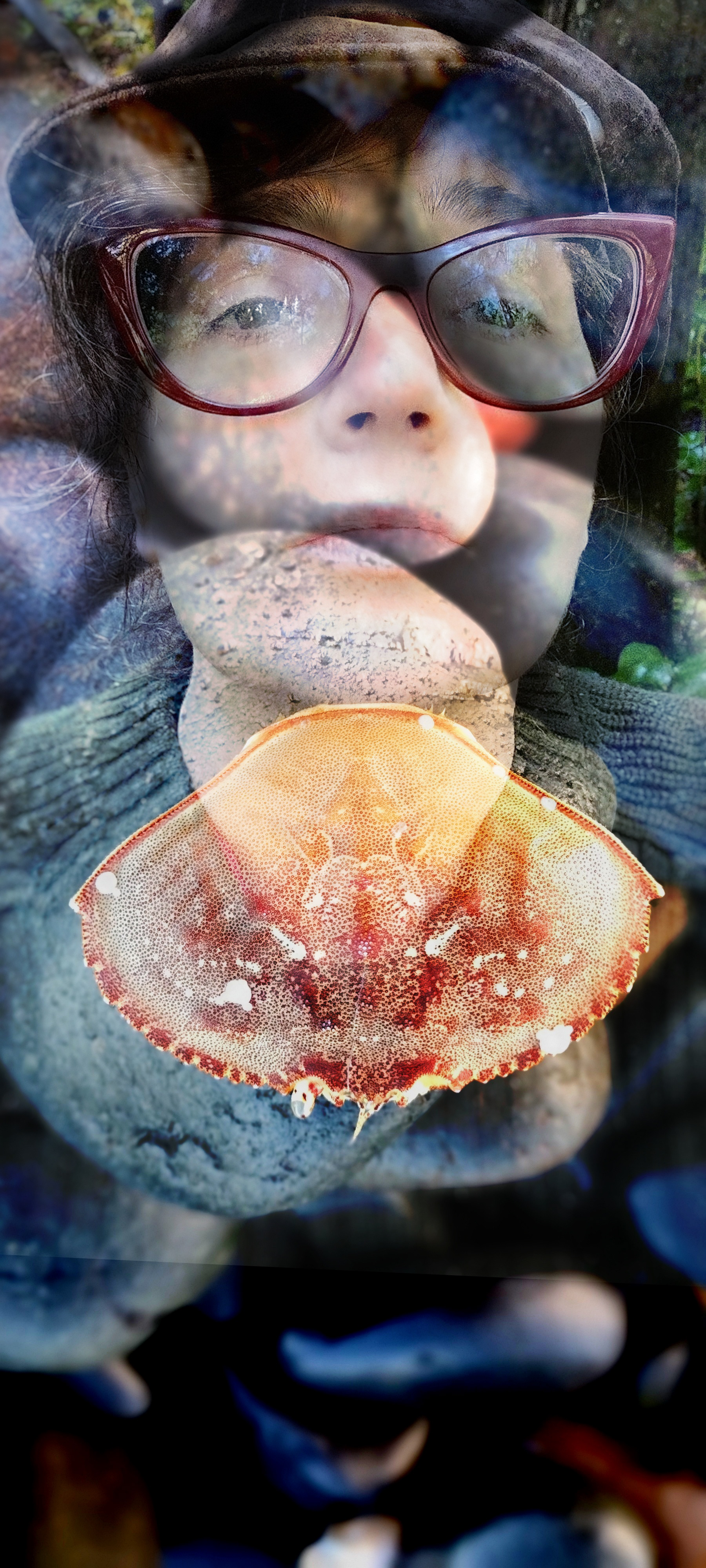 Sea Symmetry
