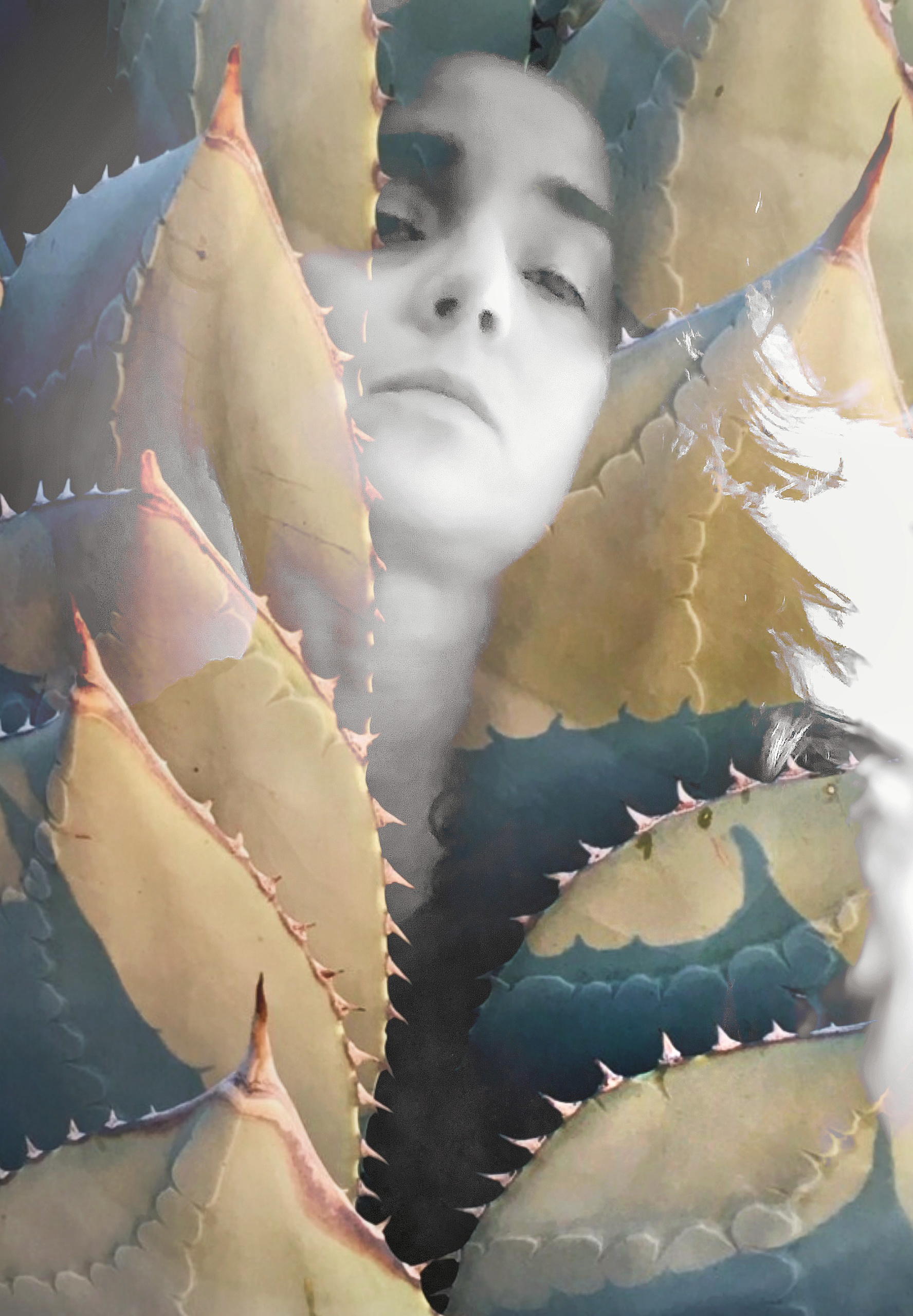 Century Me