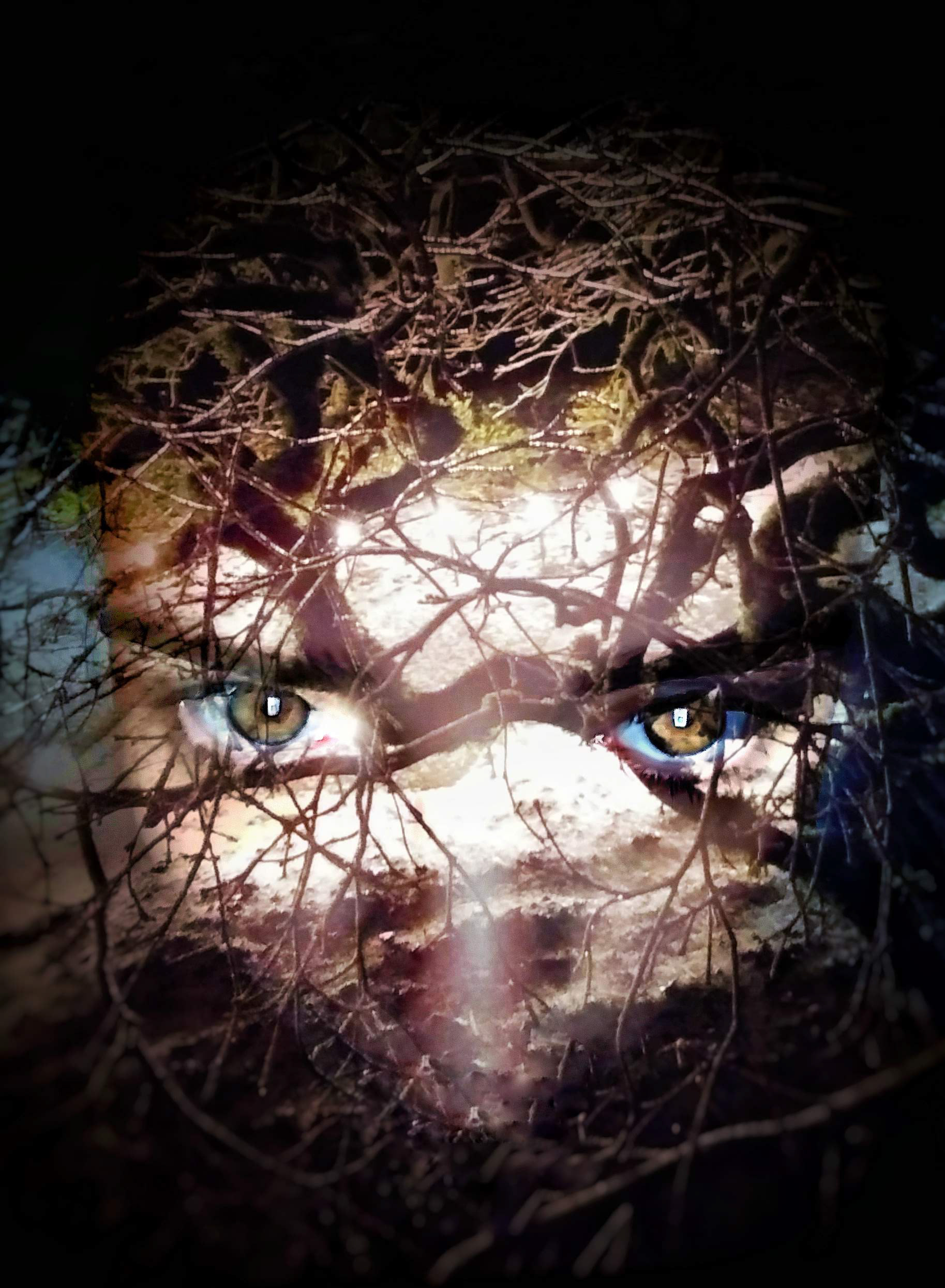 Winter Burn