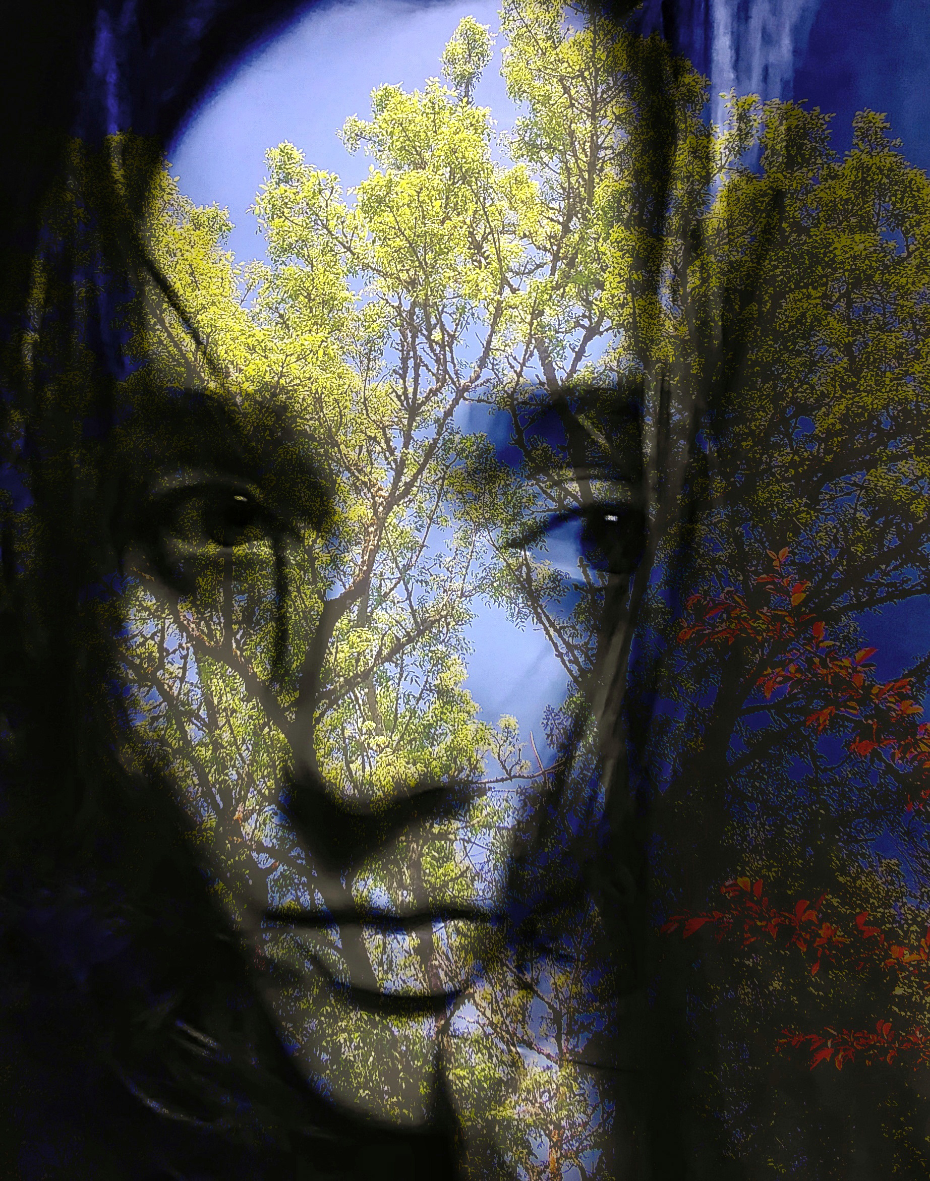 Spring Sky, Blue Summer