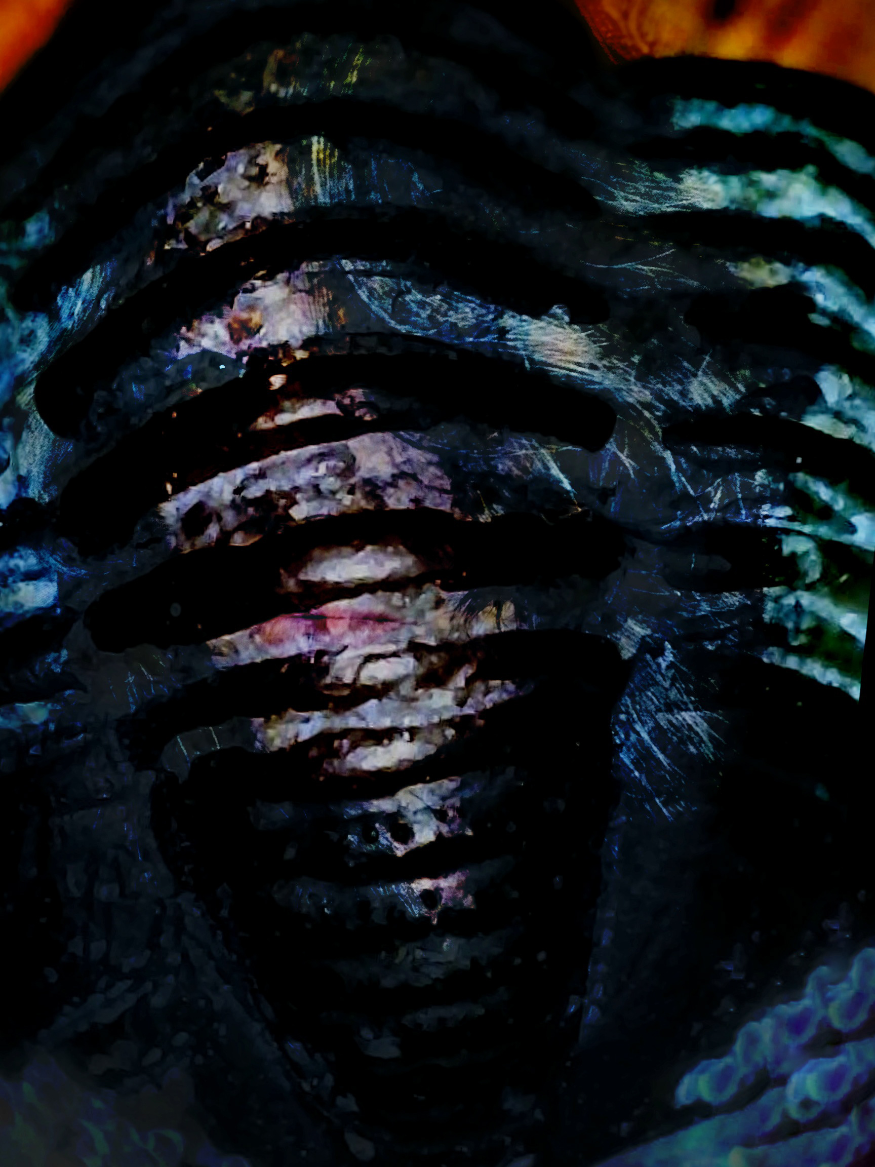 Trilobite II