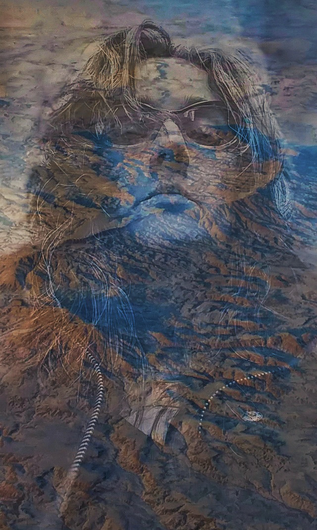 Nevada I