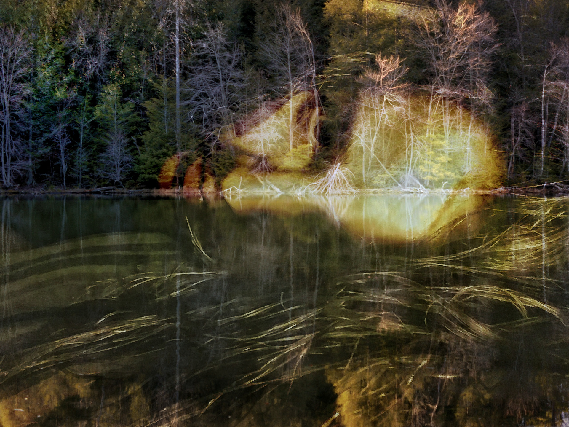 Waterline