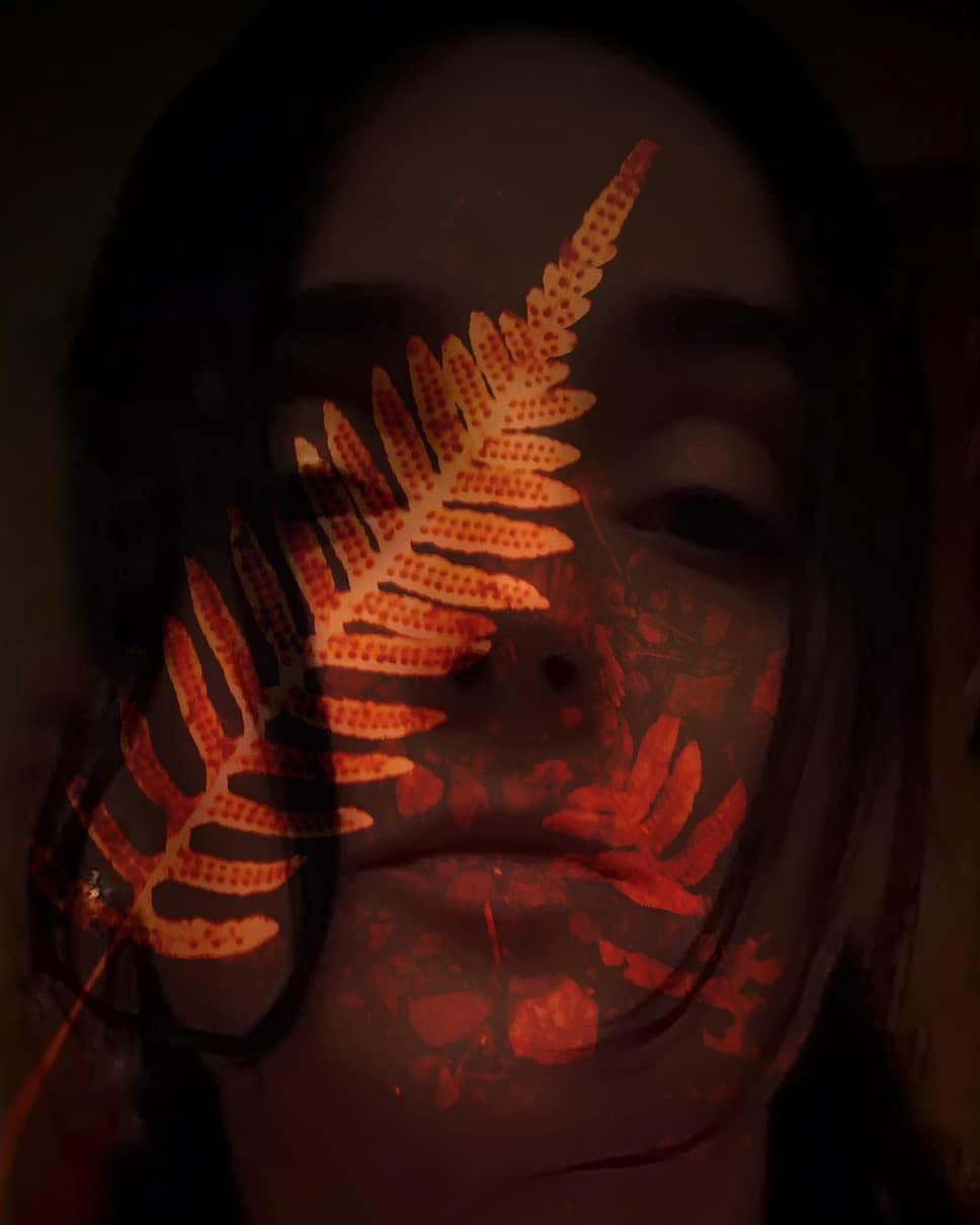 Fern and Face
