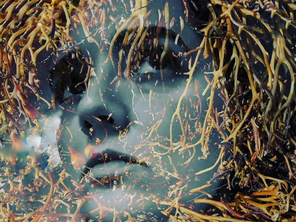 Seaweed Works III