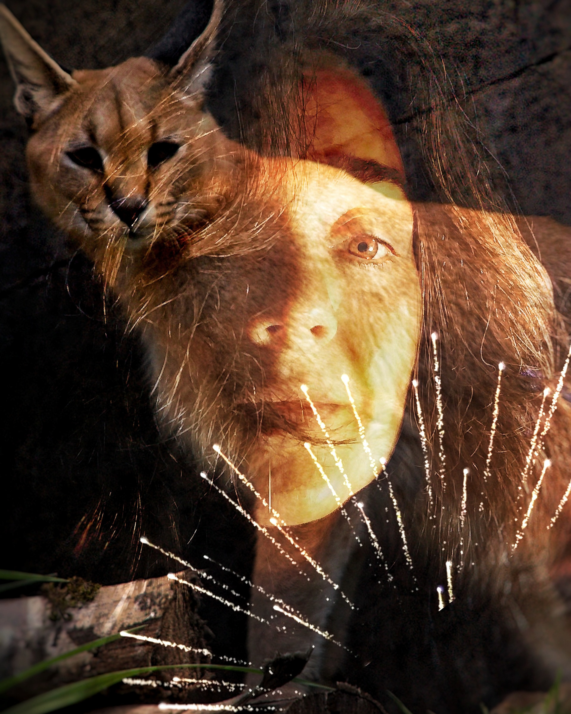 Caracal Explosion