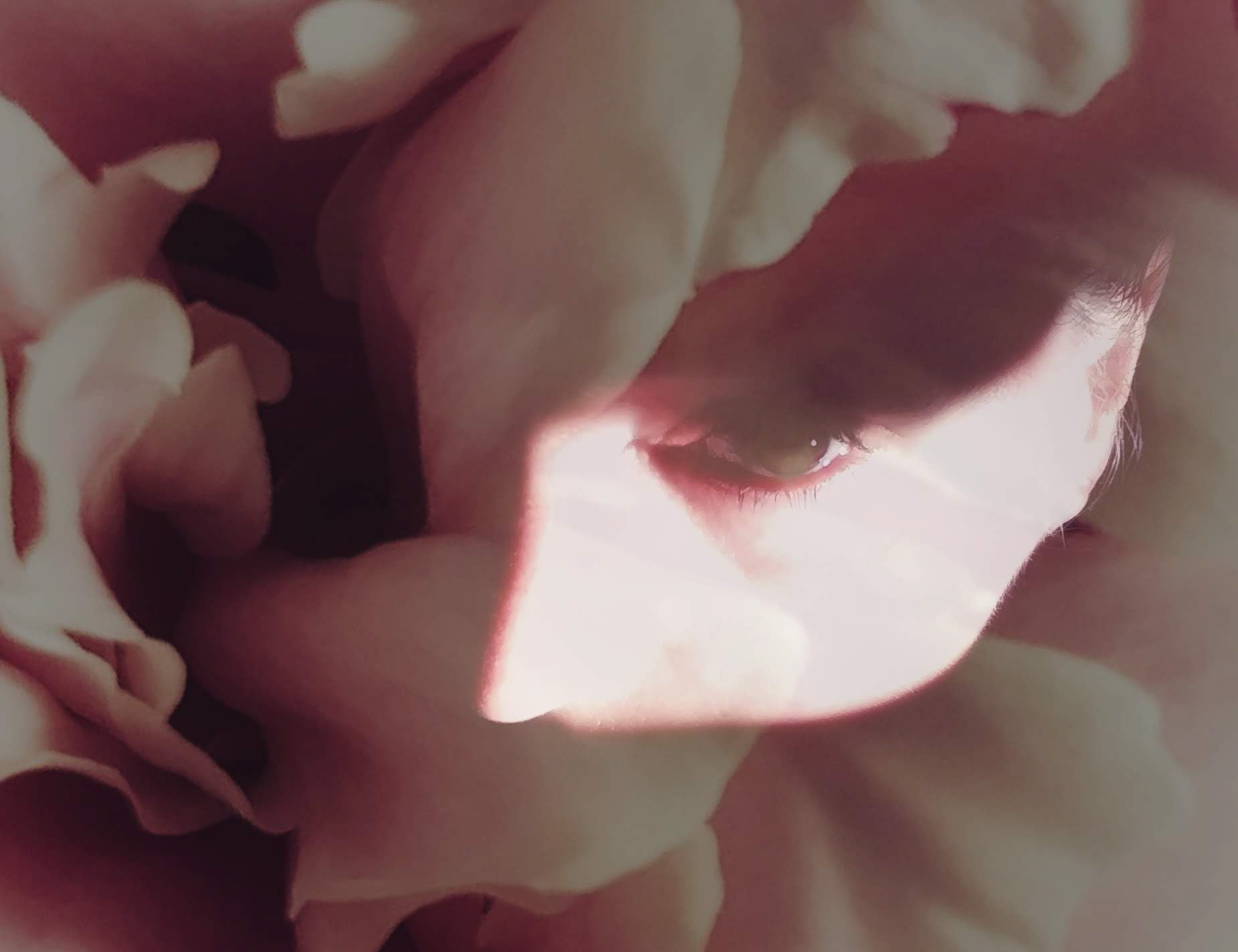 Ghost in the Peony