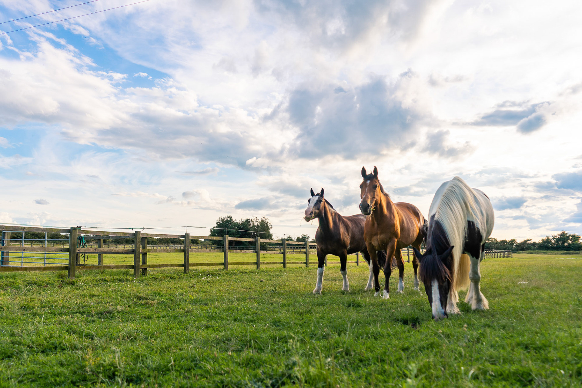 Home Farm Stables - Facilities