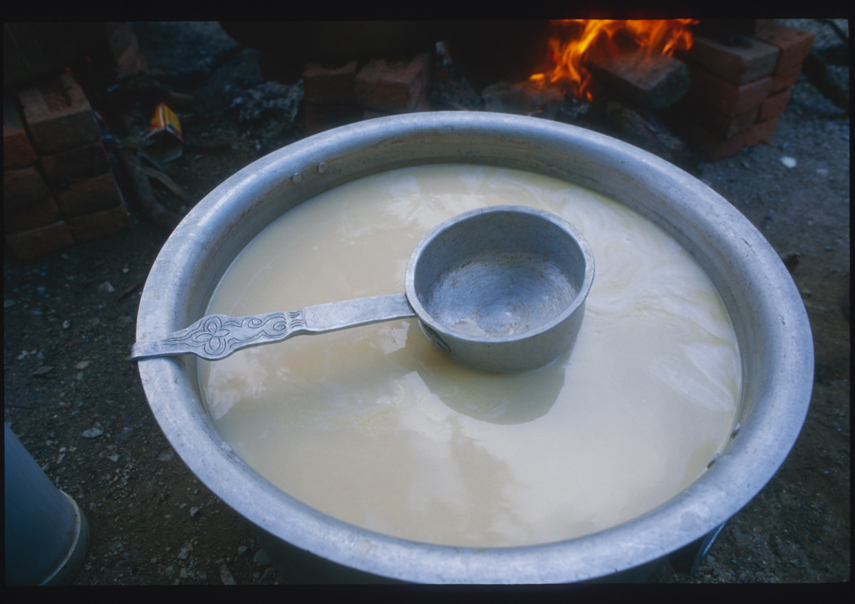 Tibetan butter tea, Tibetan Homes Foundation, Mussoorie, India