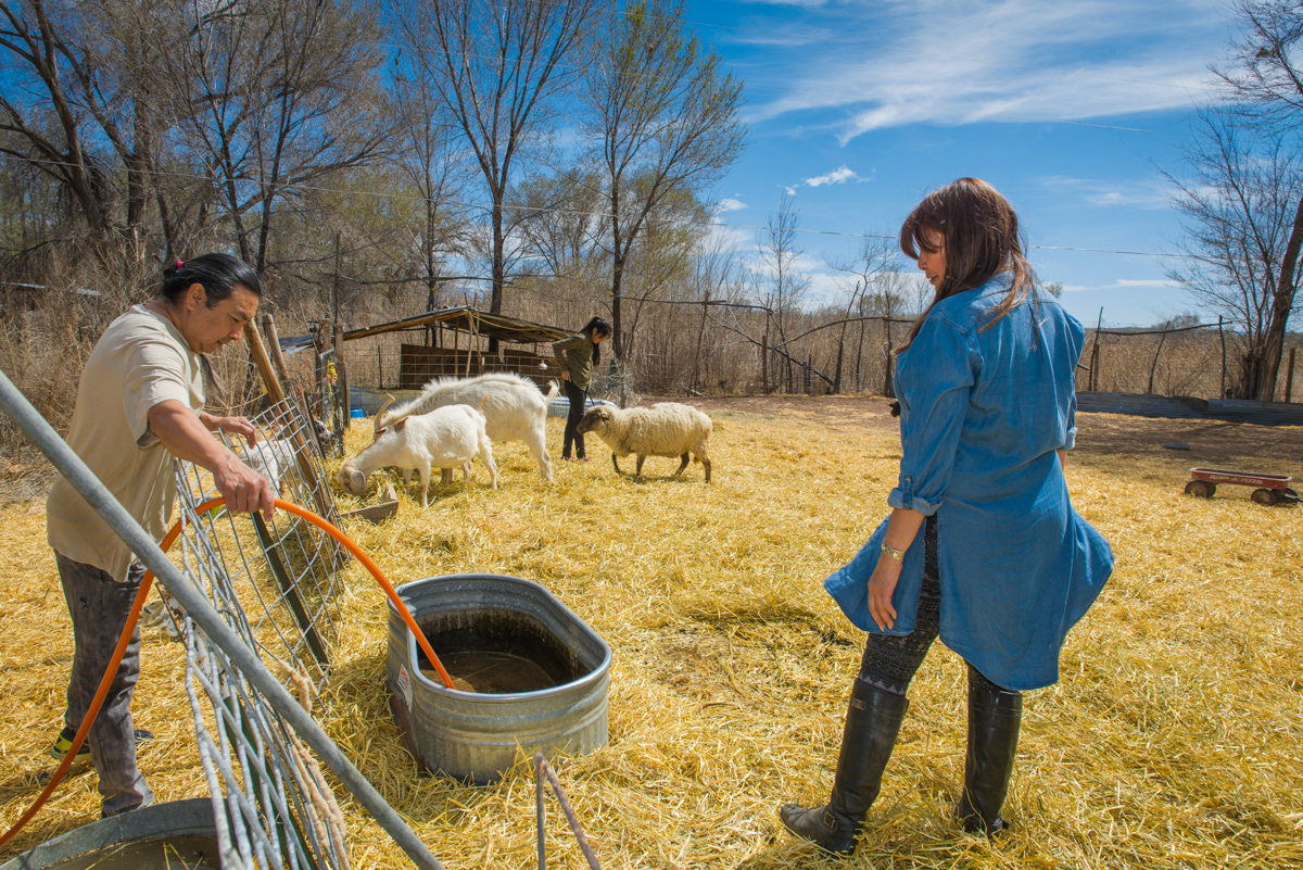 Steve and Marian with sheep and goats on their farm on the Rio Grande.