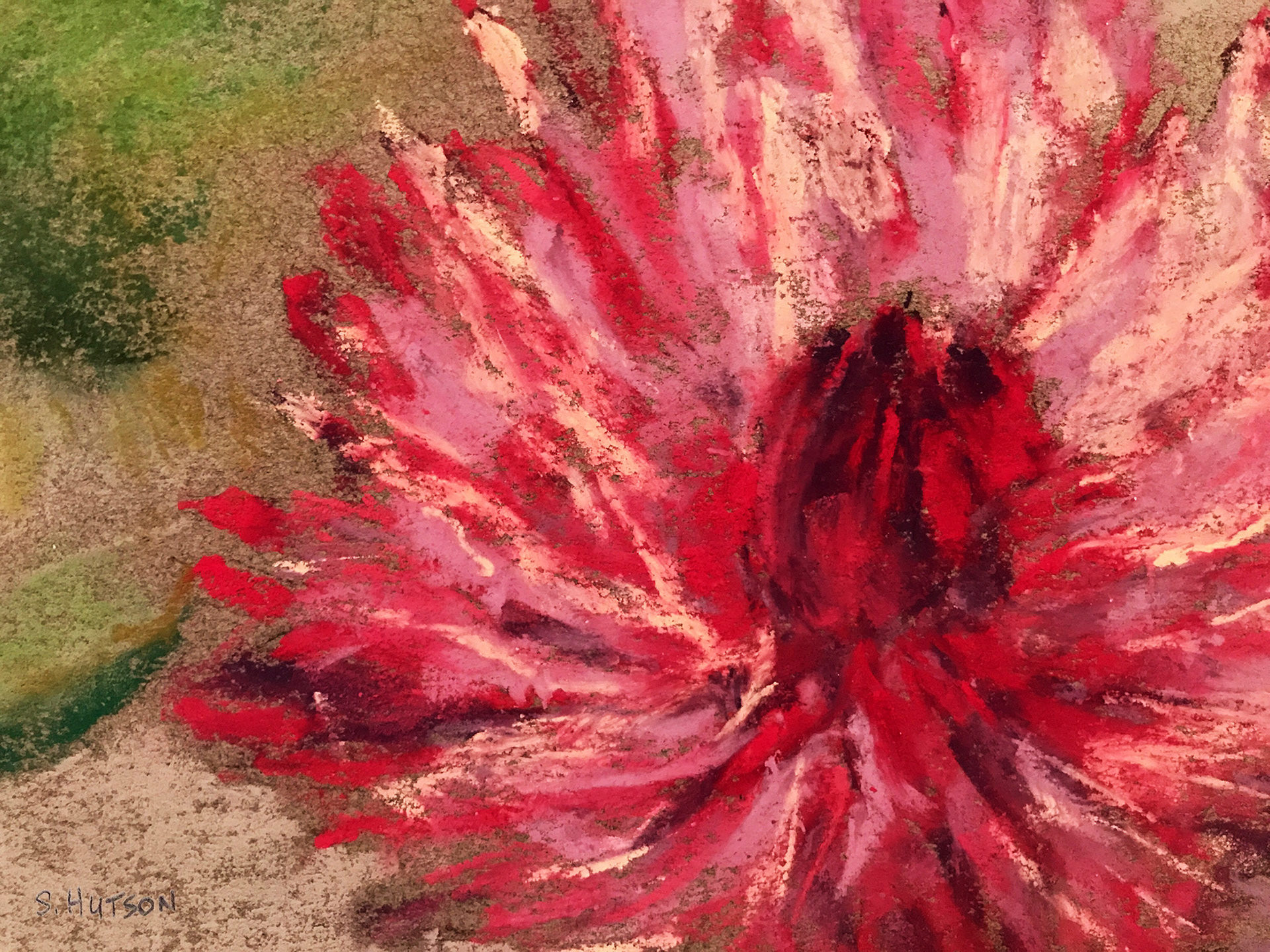 The Flower, a pastel painting by Sherry Hutson