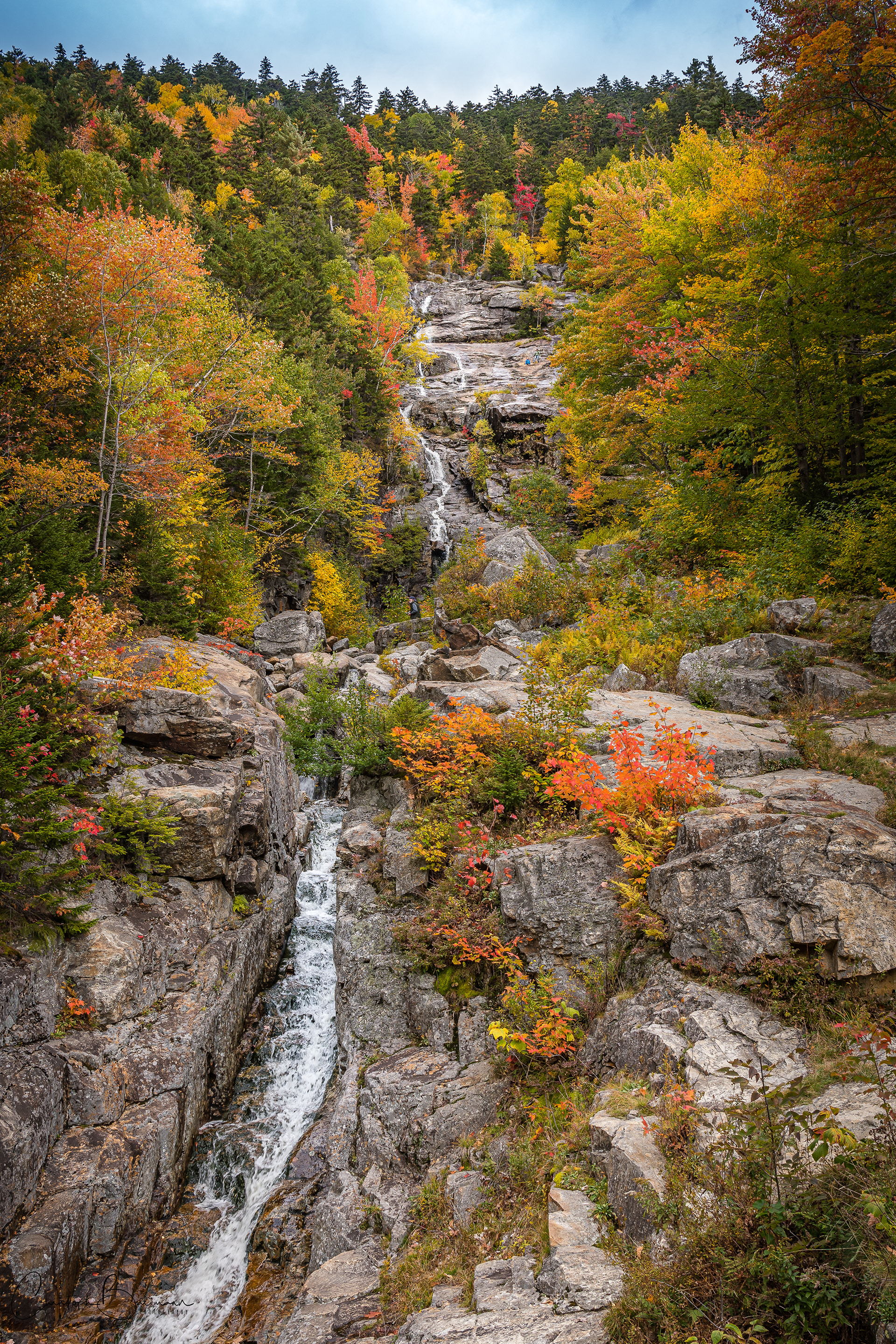 Foilage at White Mountains New Hampshire
