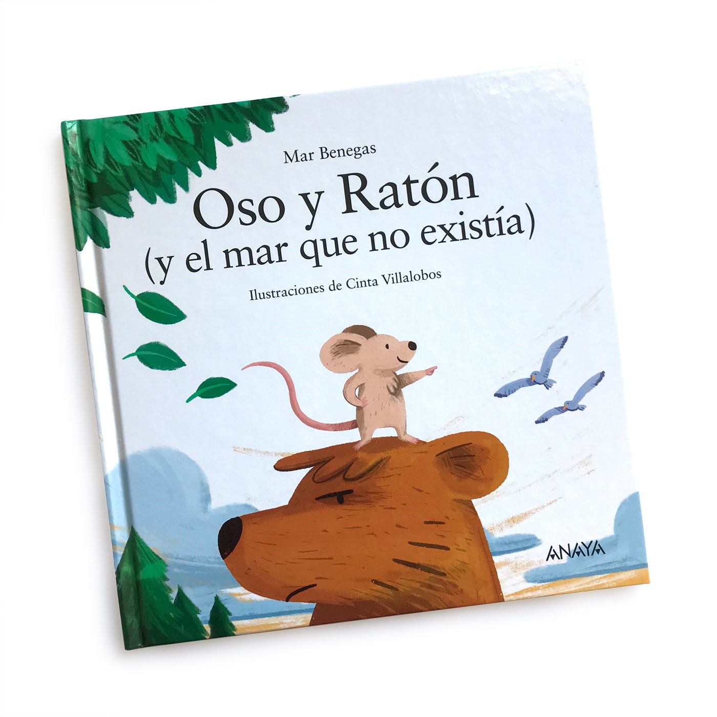 Cover of the picture book "Bear and Mouse"