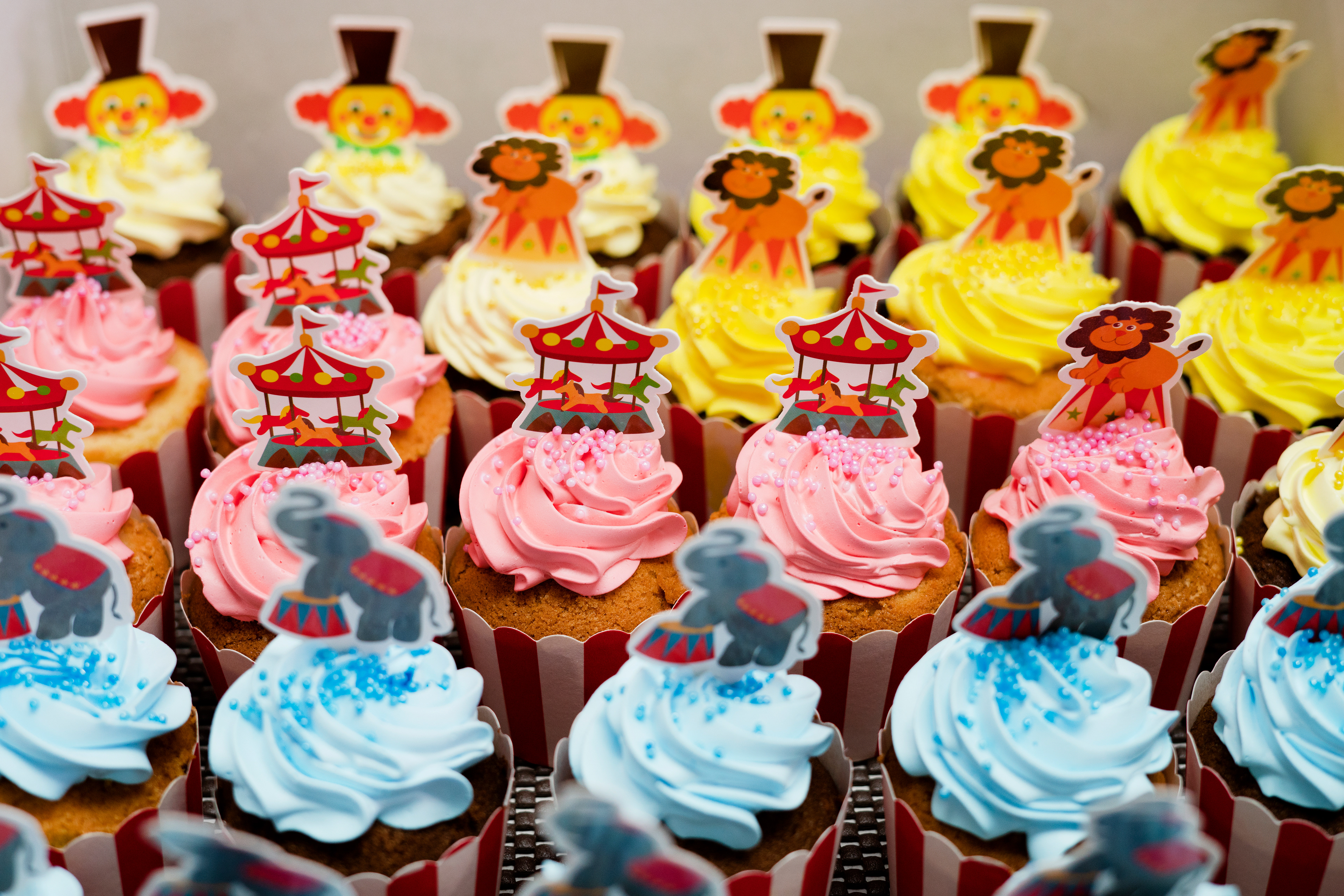 CARNIVAL CUPCAKES