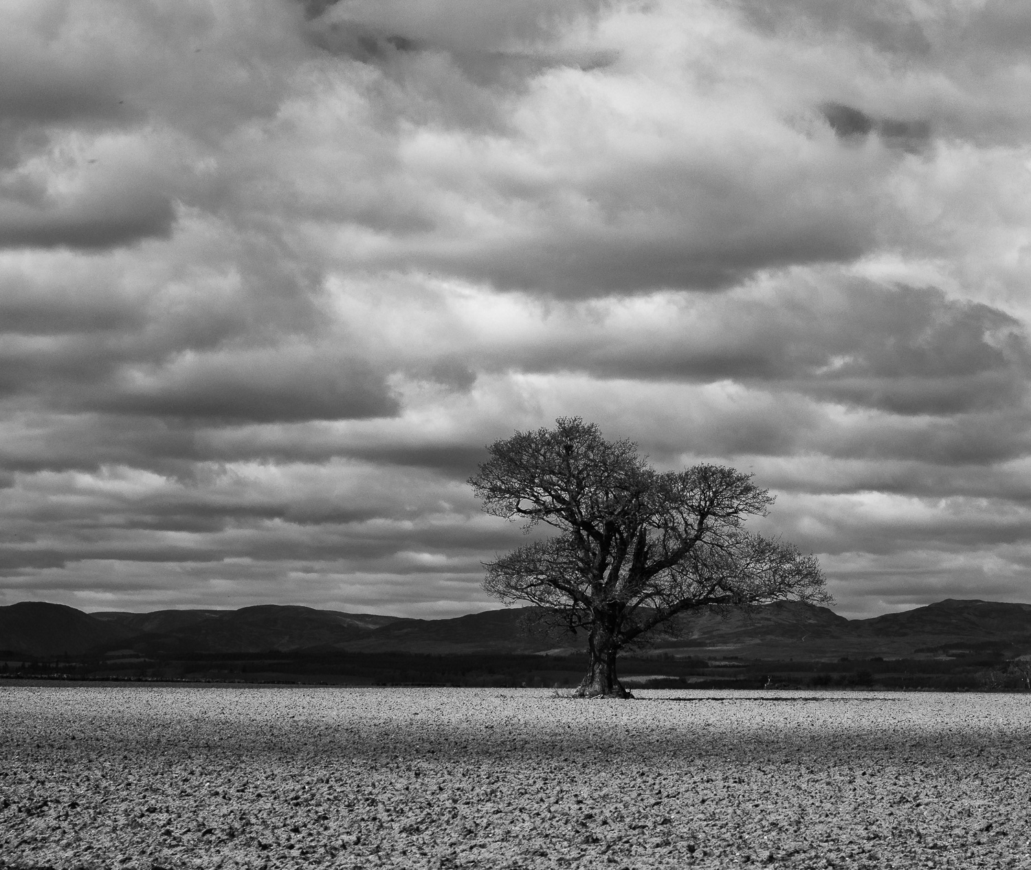 Through the highlands